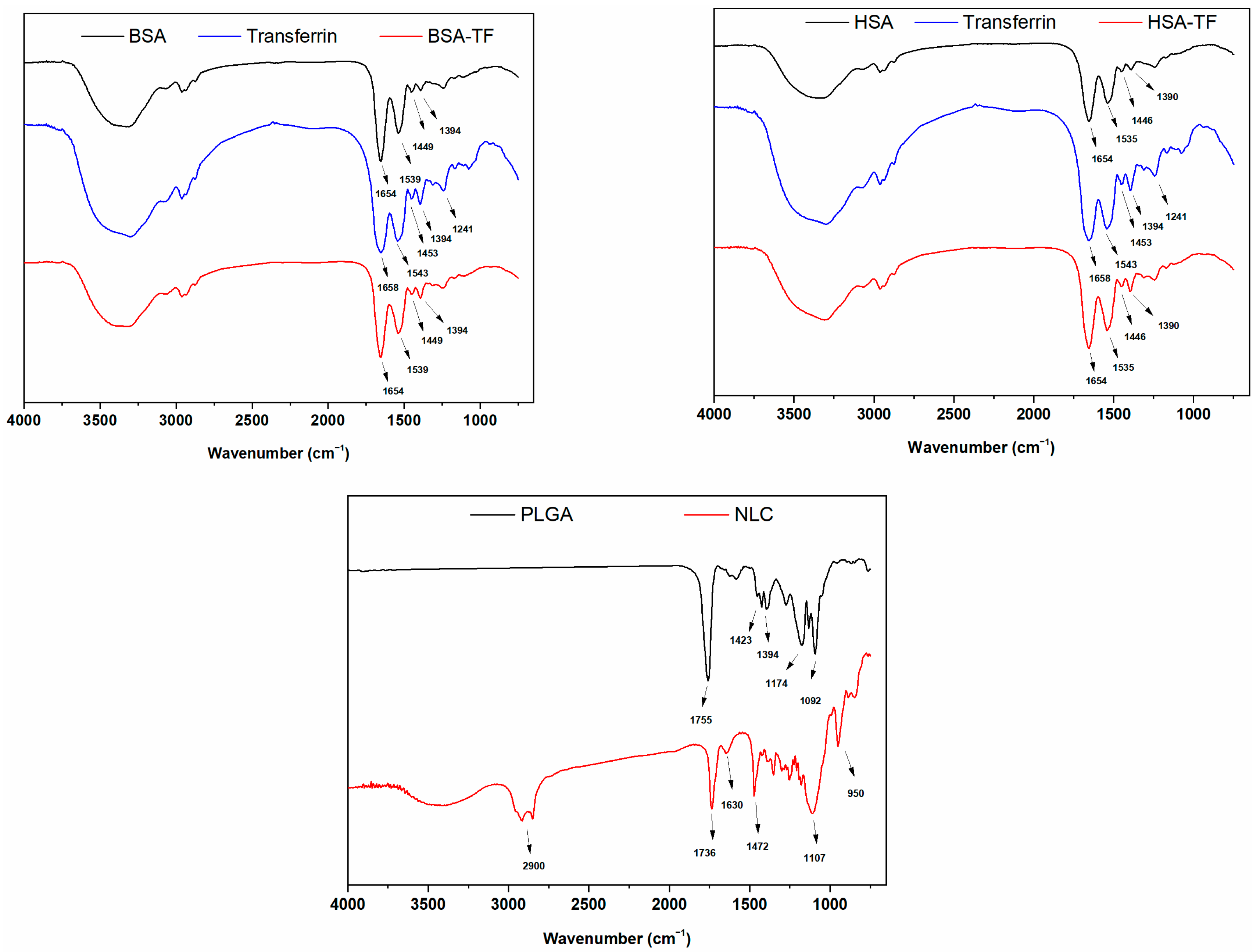 Pharmaceuticals 17 01567 g003