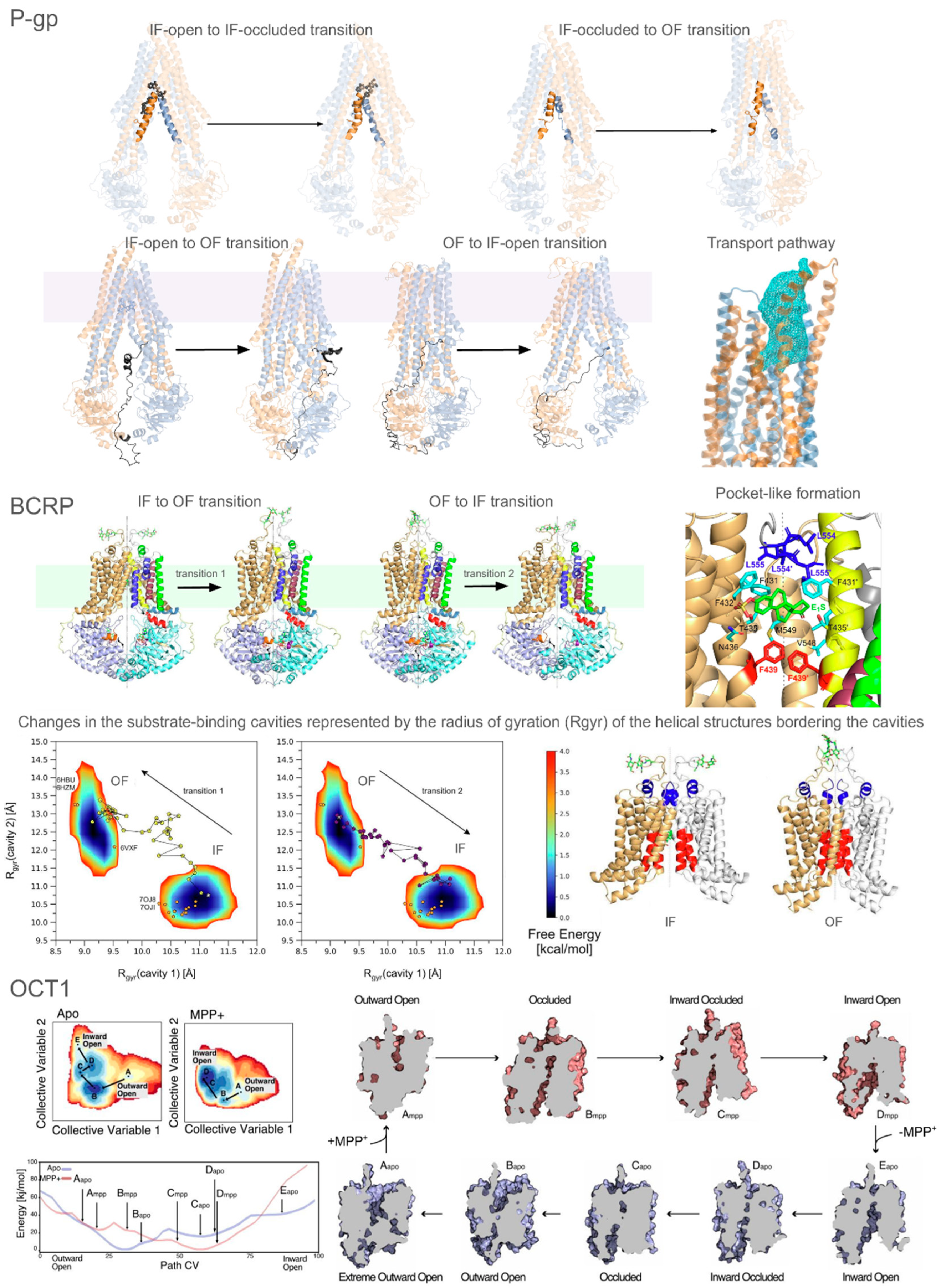 Pharmaceuticals 17 01602 g003