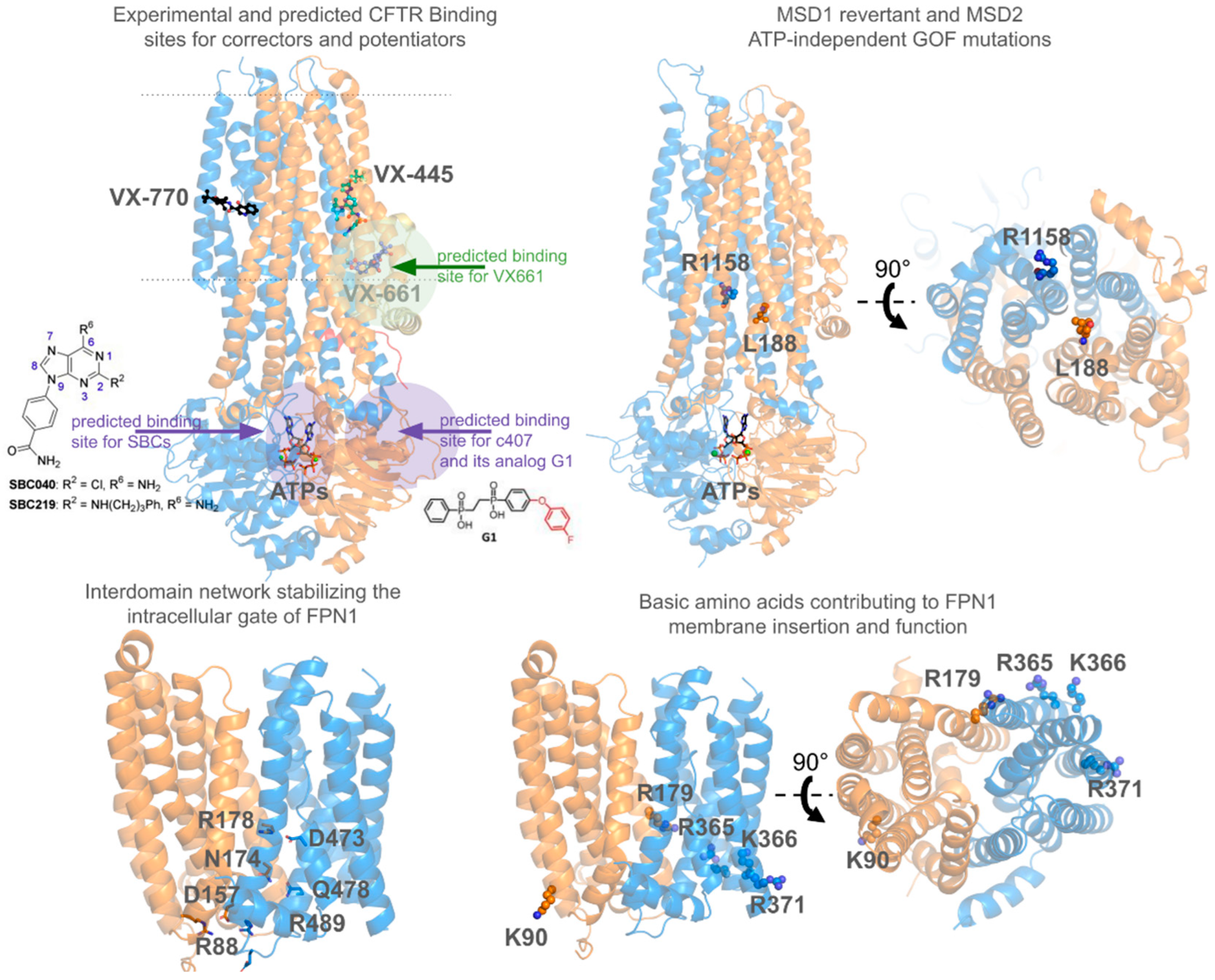Pharmaceuticals 17 01602 g004
