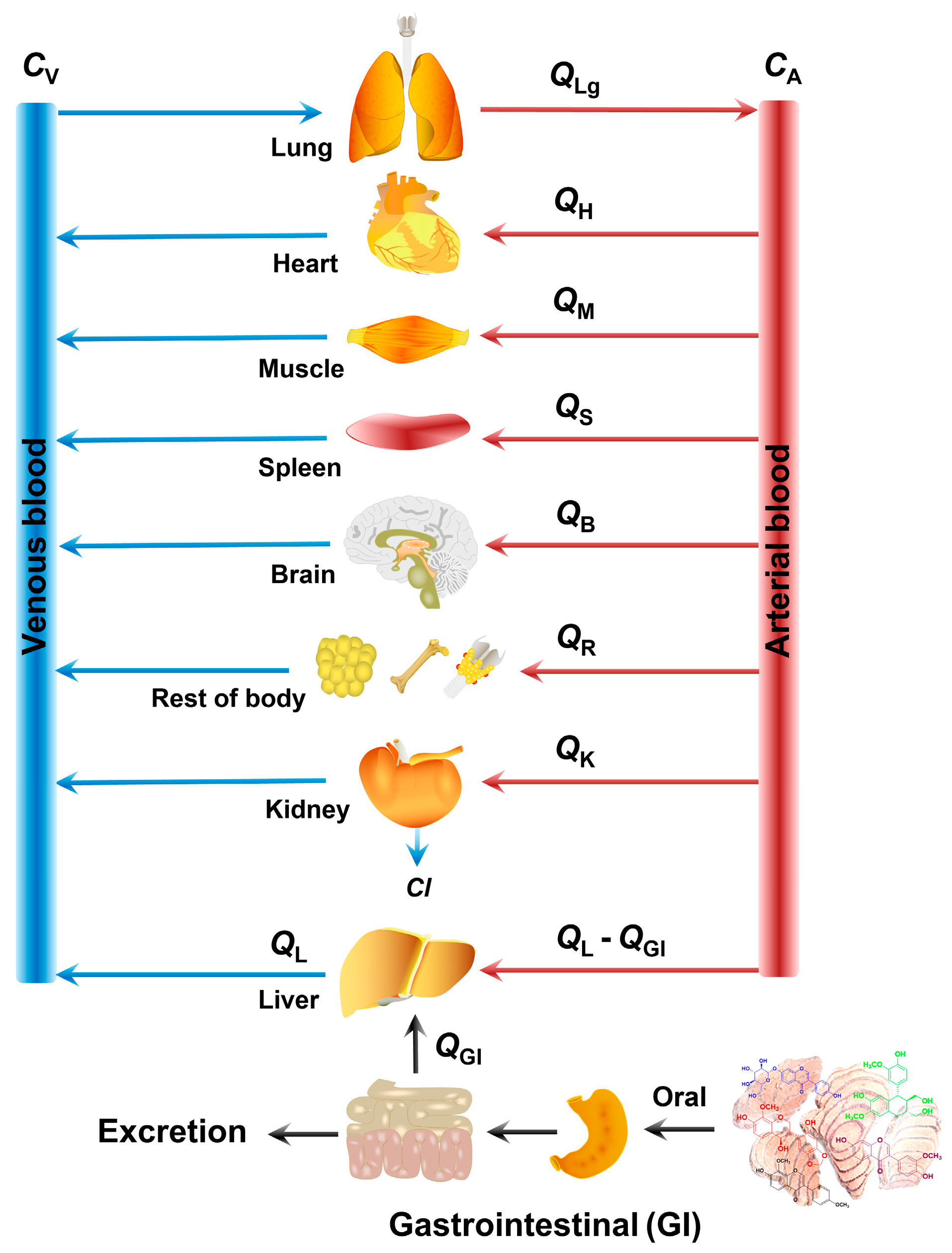 Pharmaceuticals 17 01621 g010