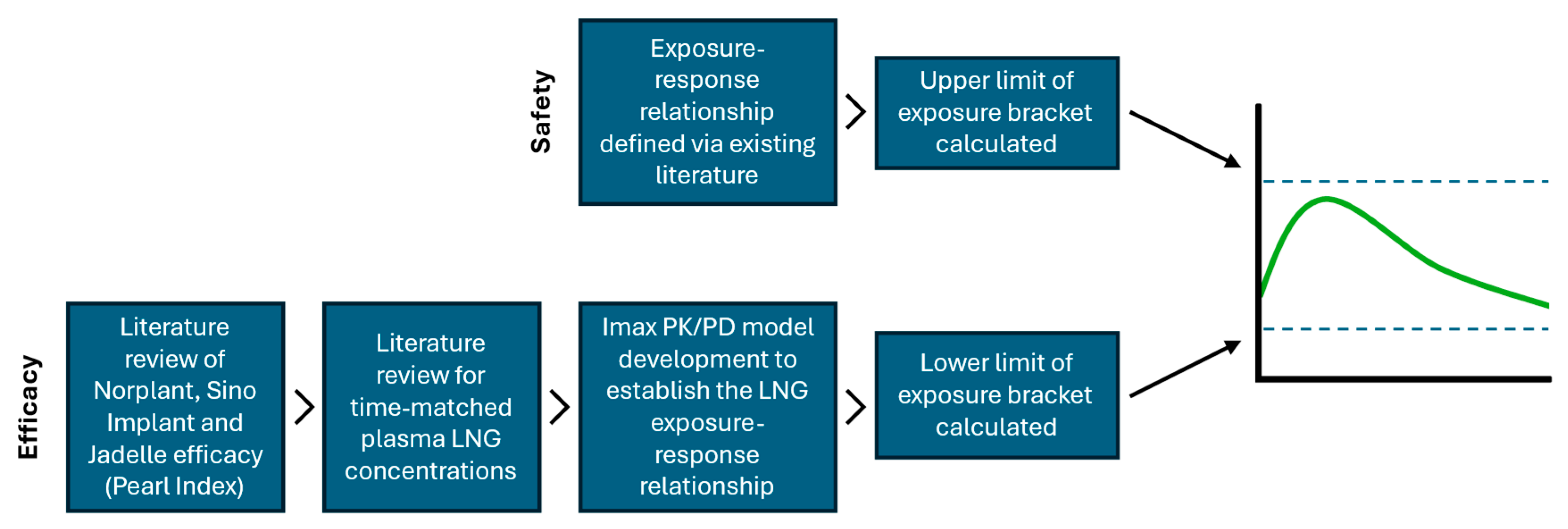 Pharmaceuticals 17 01640 g003