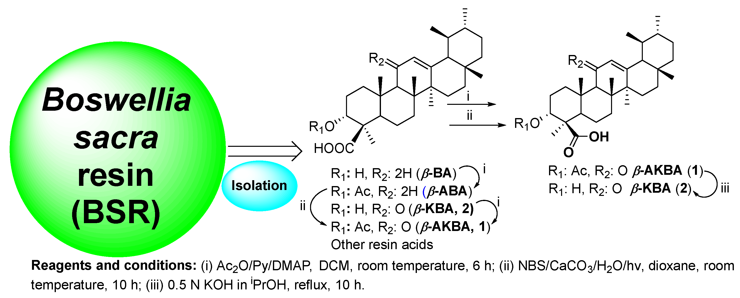 Pharmaceuticals 17 01650 sch001
