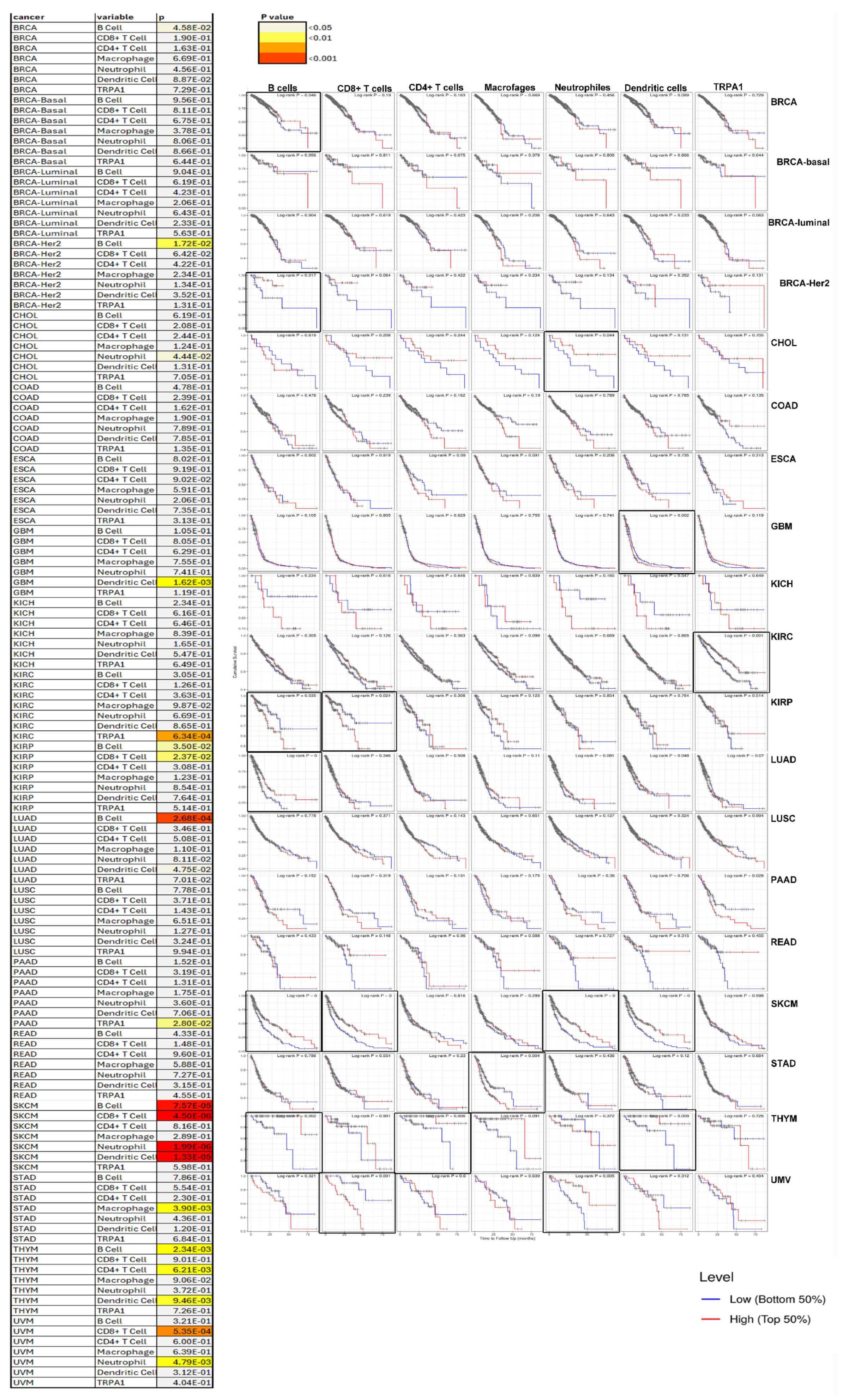 Pharmaceuticals 17 01657 g006