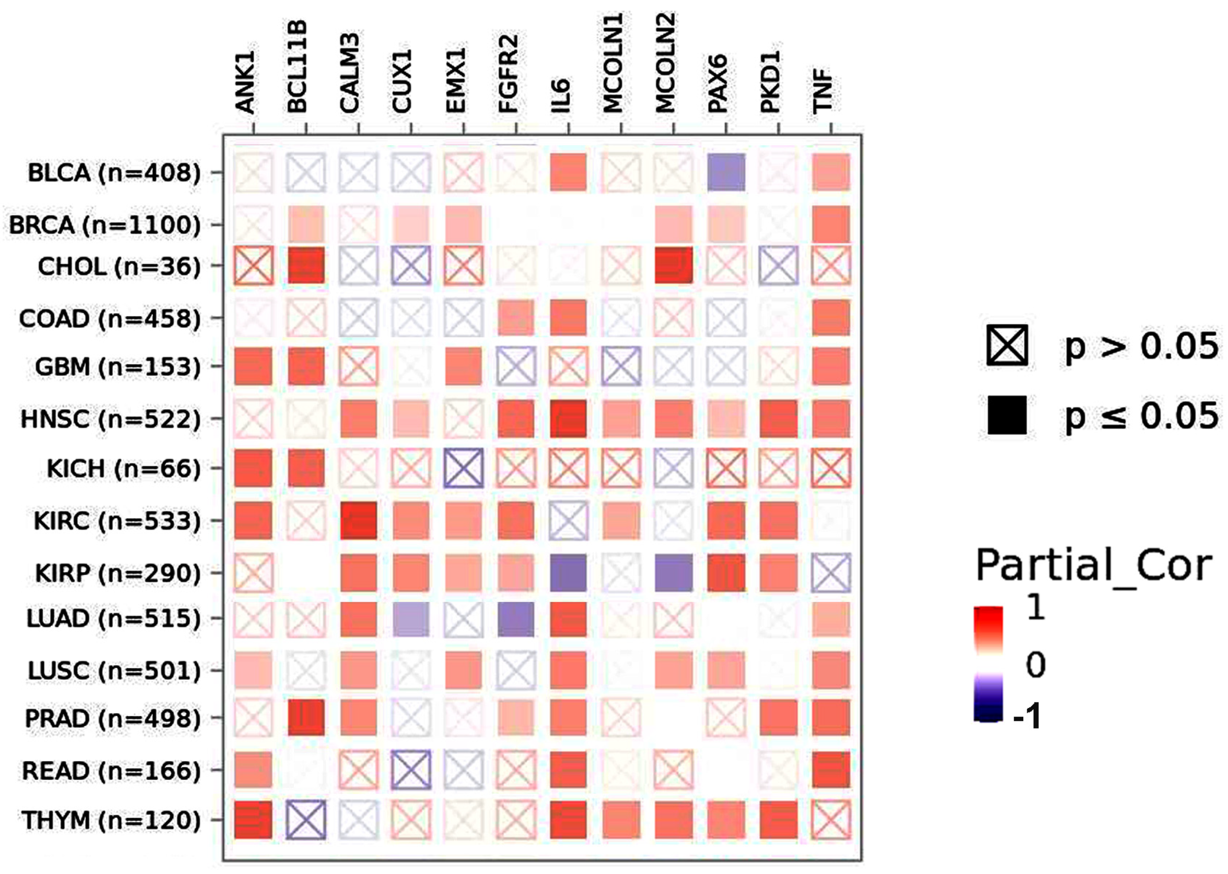Pharmaceuticals 17 01657 g008