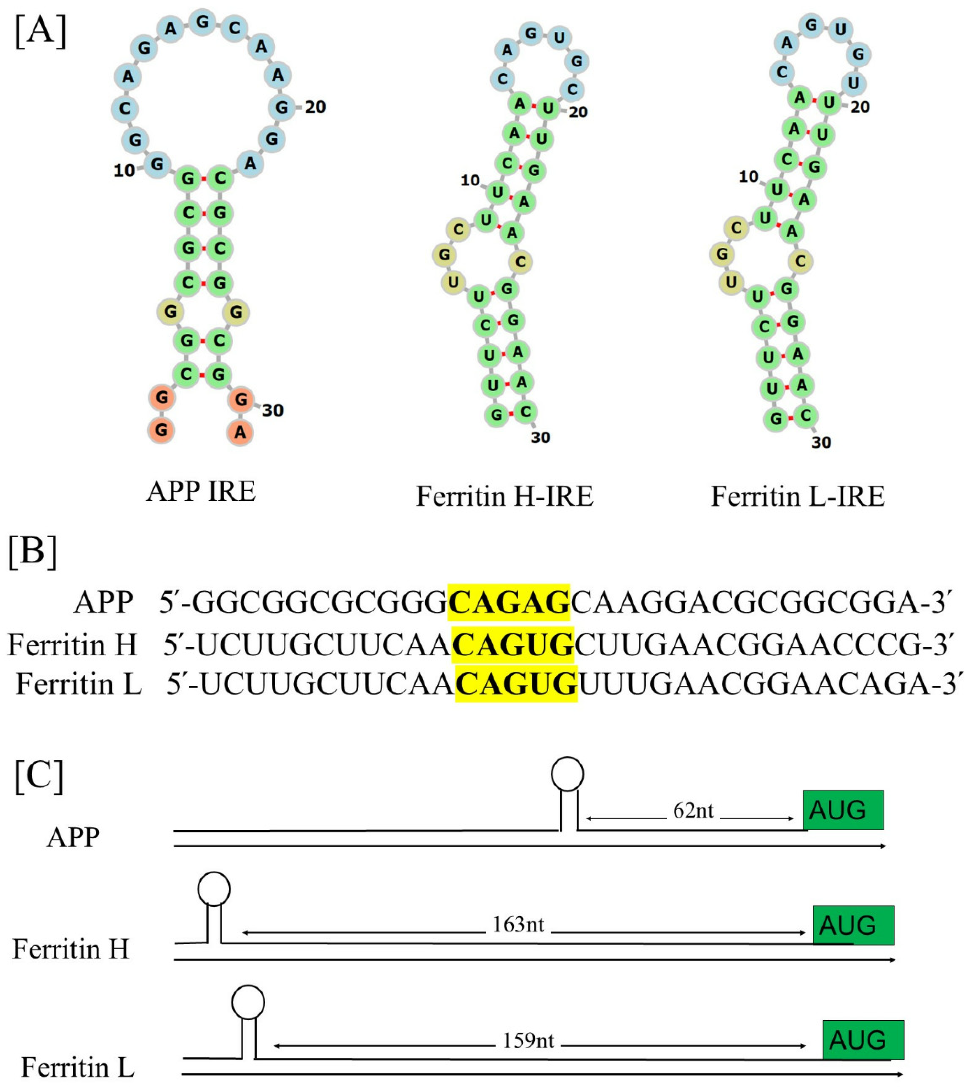 Pharmaceuticals 17 01669 g004