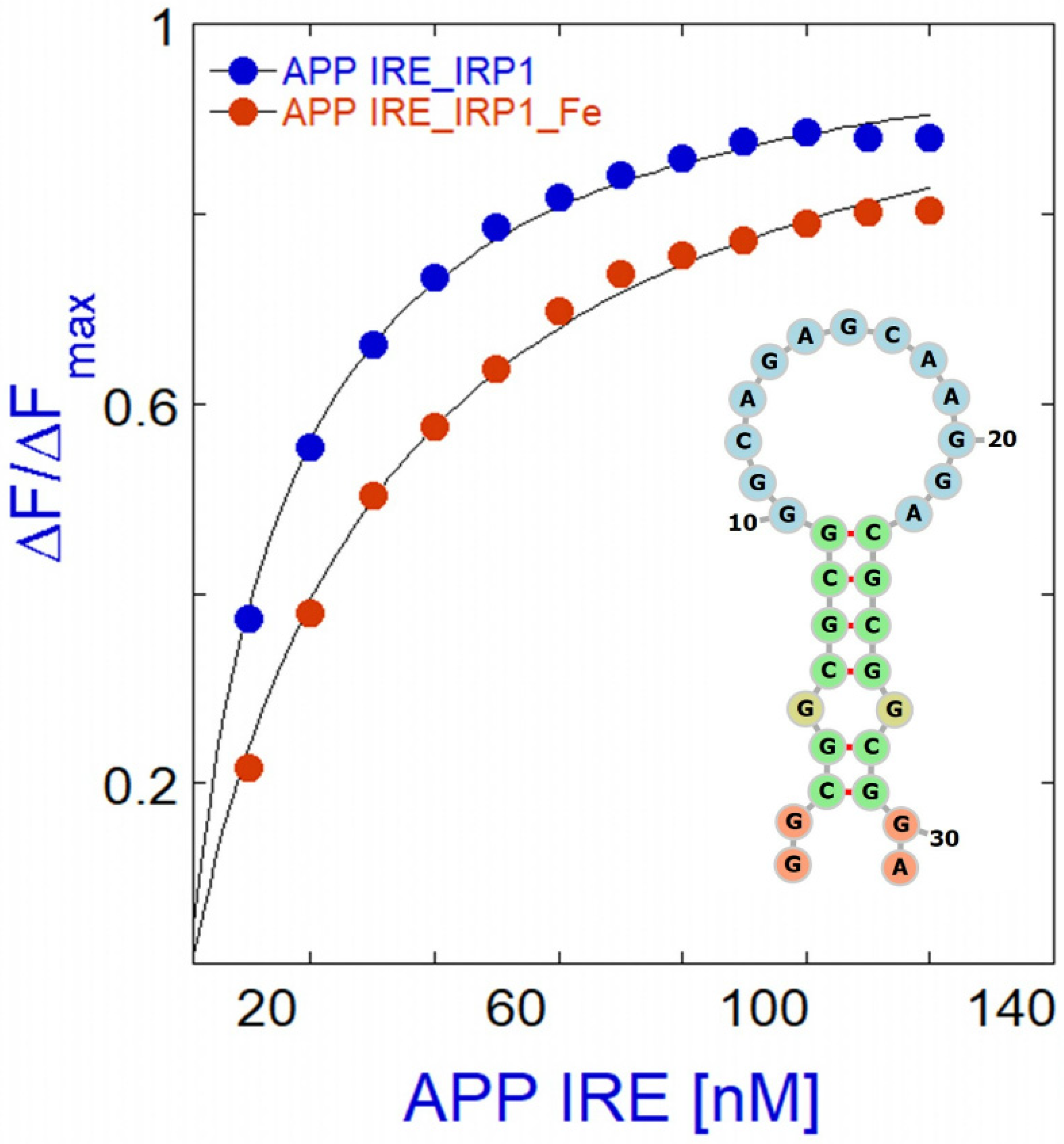 Pharmaceuticals 17 01669 g006