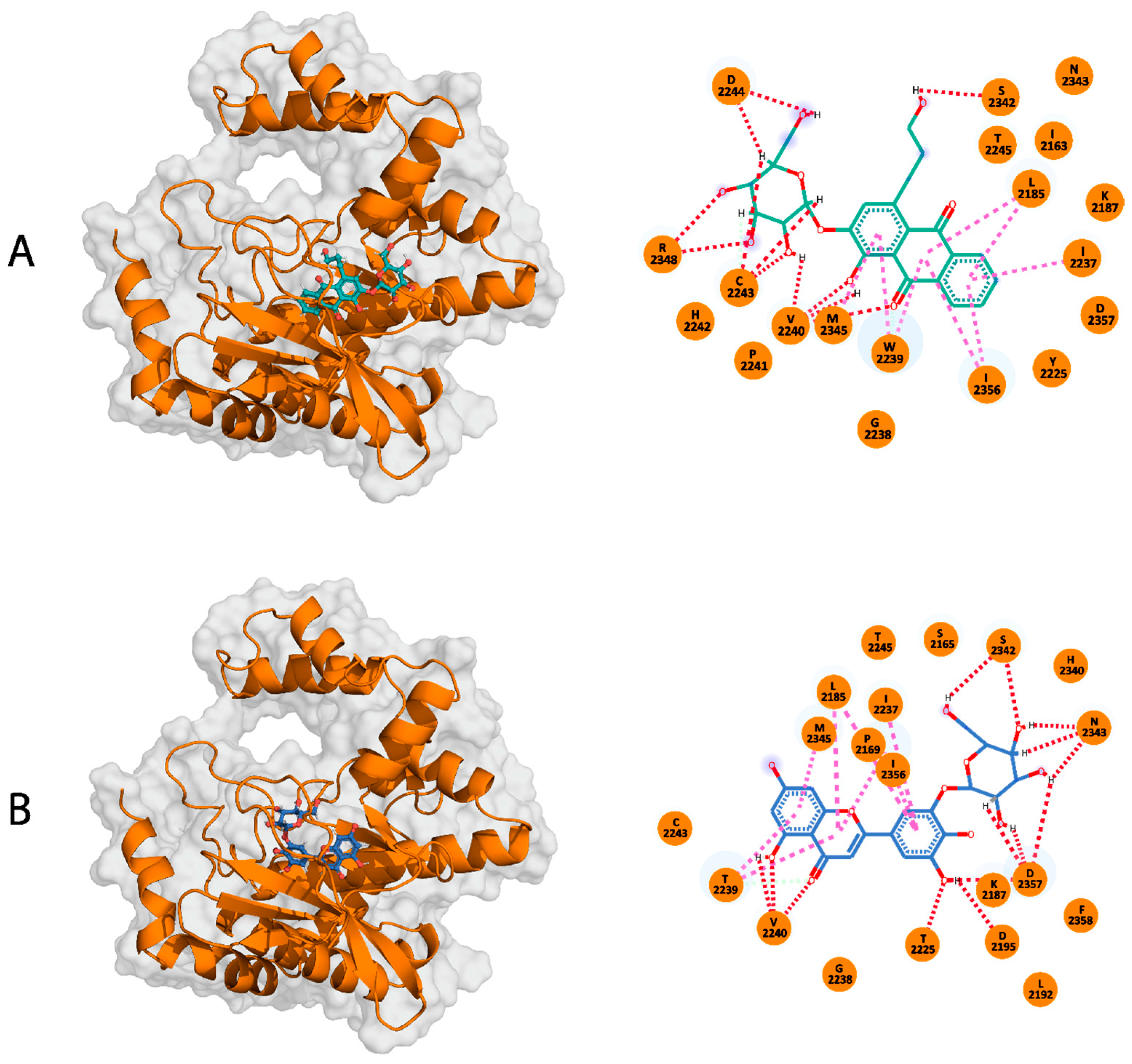 Pharmaceuticals 17 01677 g003
