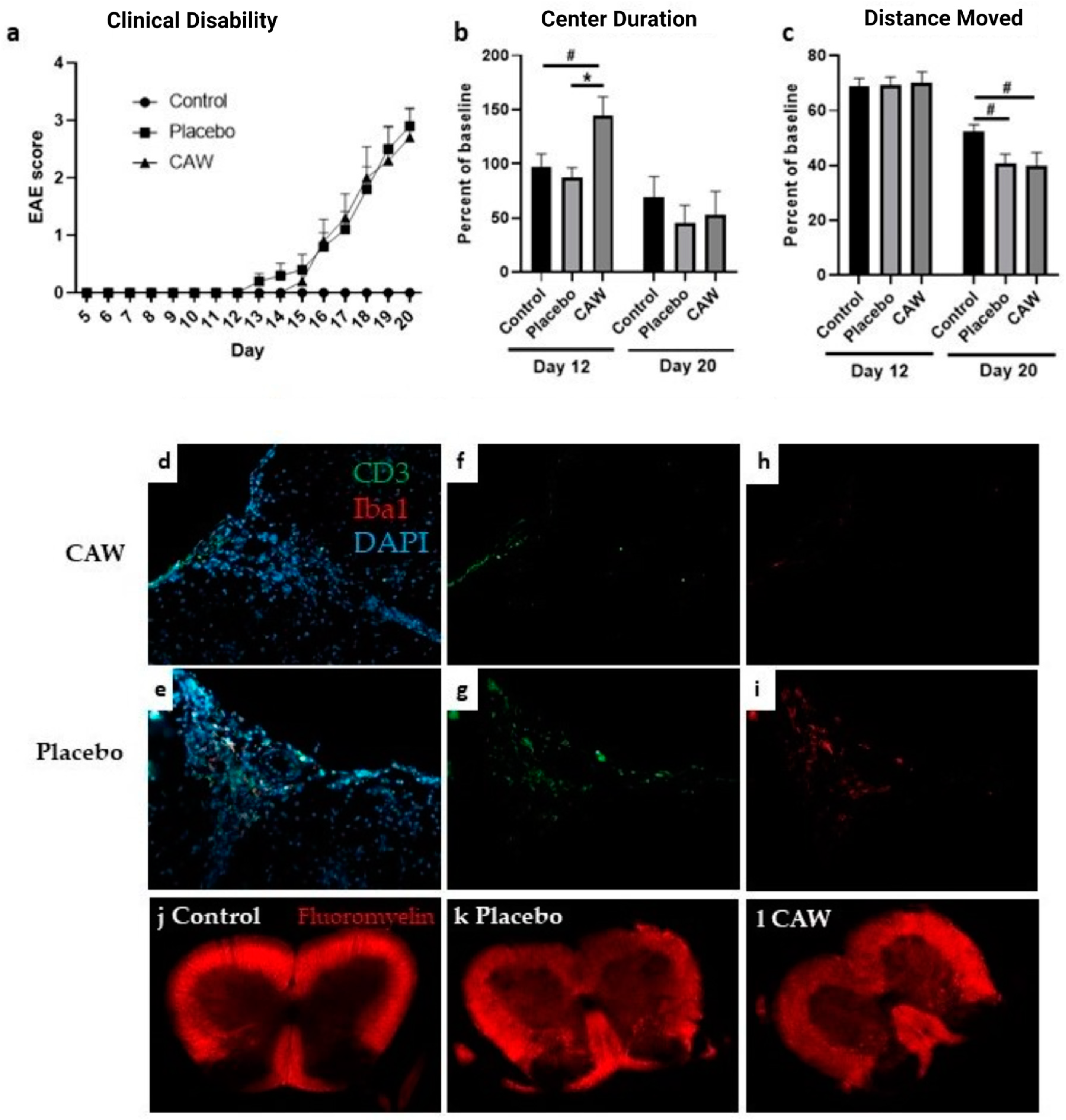 Pharmaceuticals 17 01681 g001