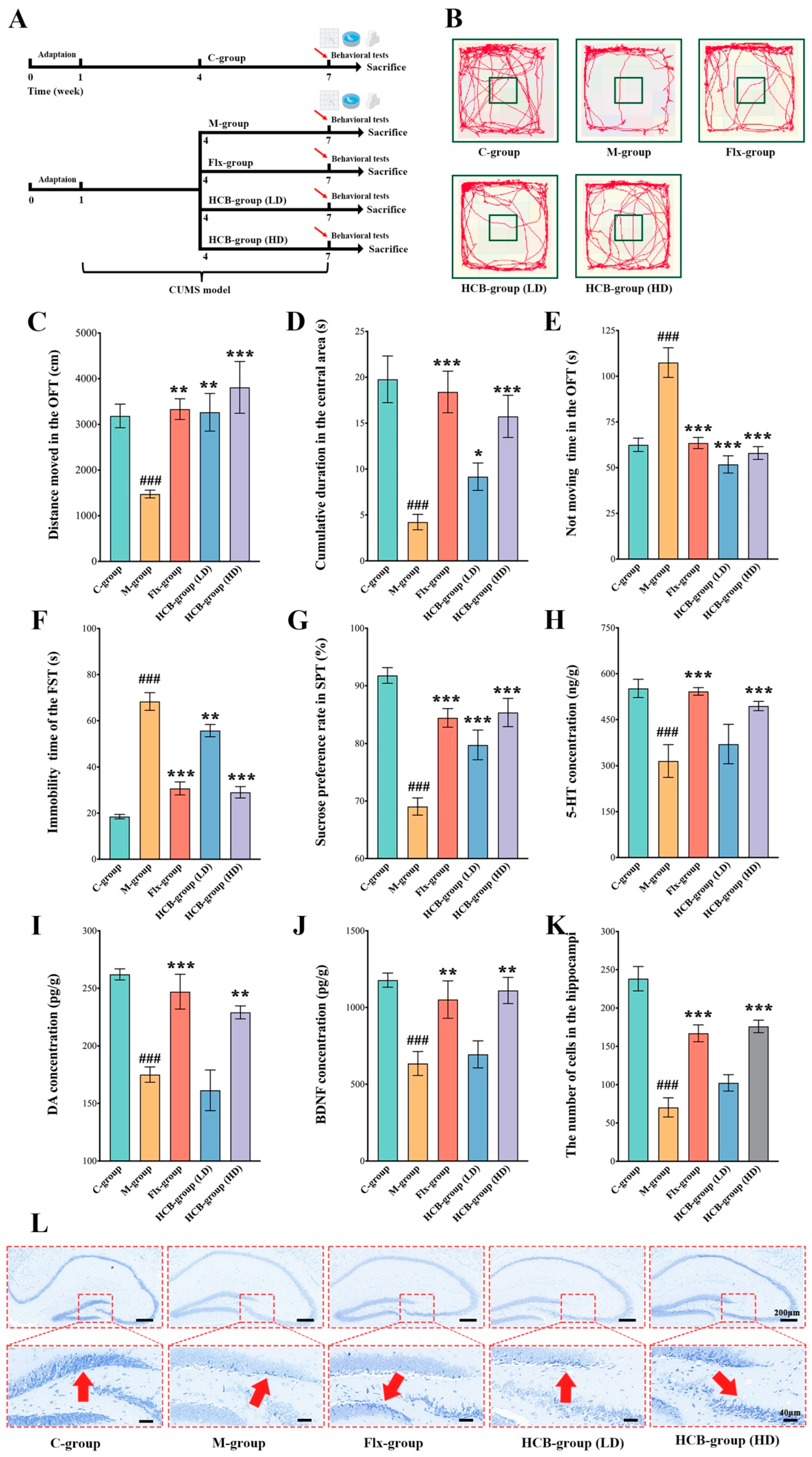 Pharmaceuticals 17 01704 g002