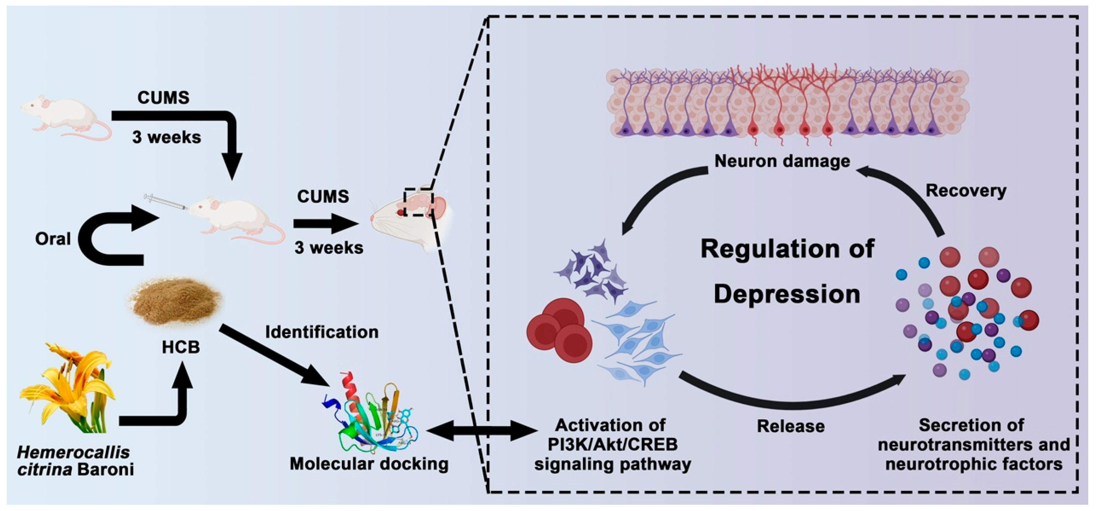 Pharmaceuticals 17 01704 g006