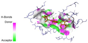 Pharmaceuticals 17 01712 i050
