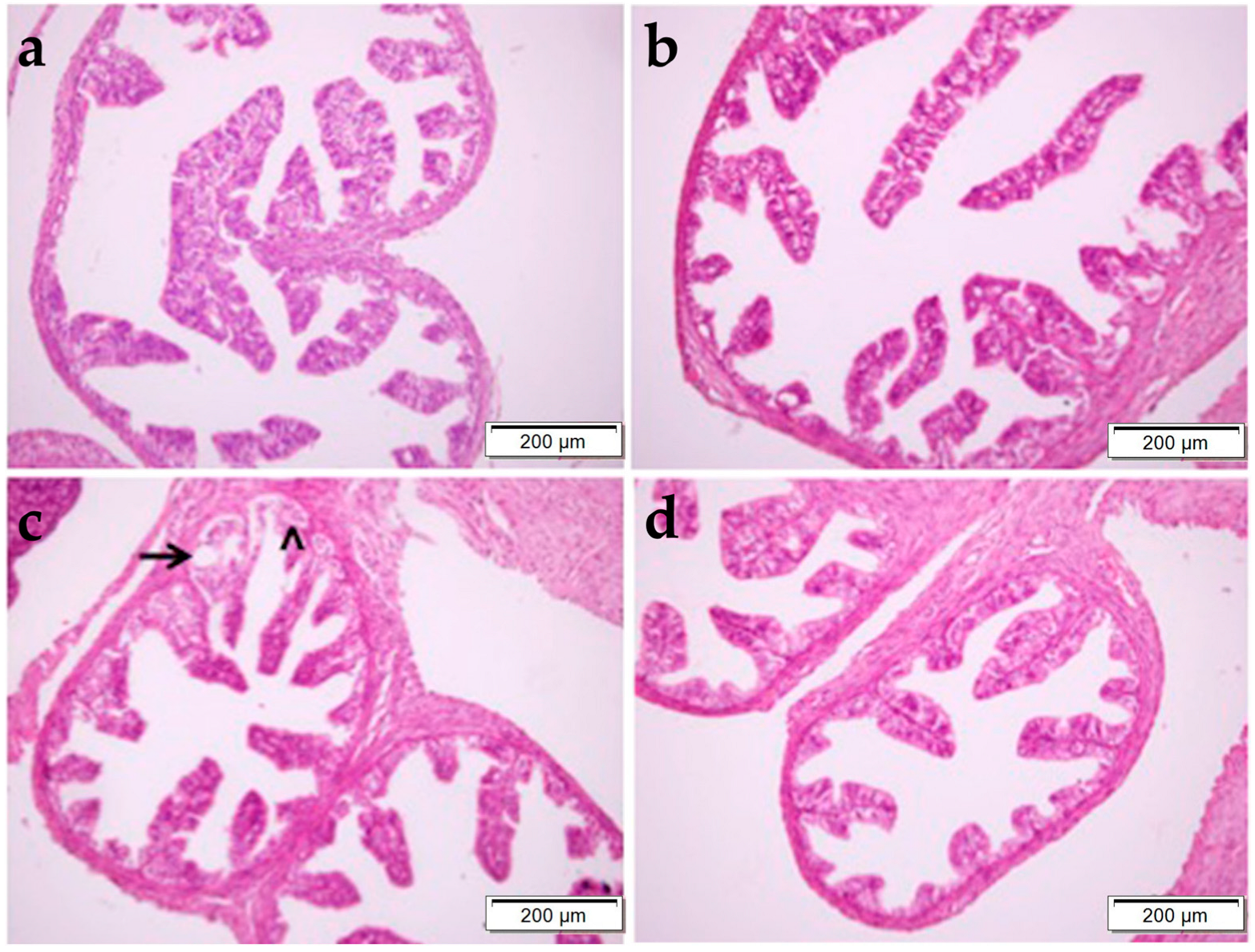 Pharmaceuticals 17 01716 g004