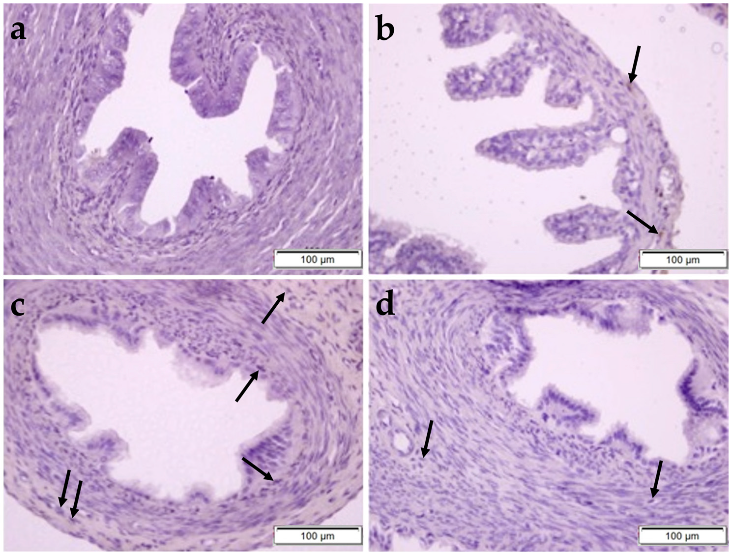 Pharmaceuticals 17 01716 g009