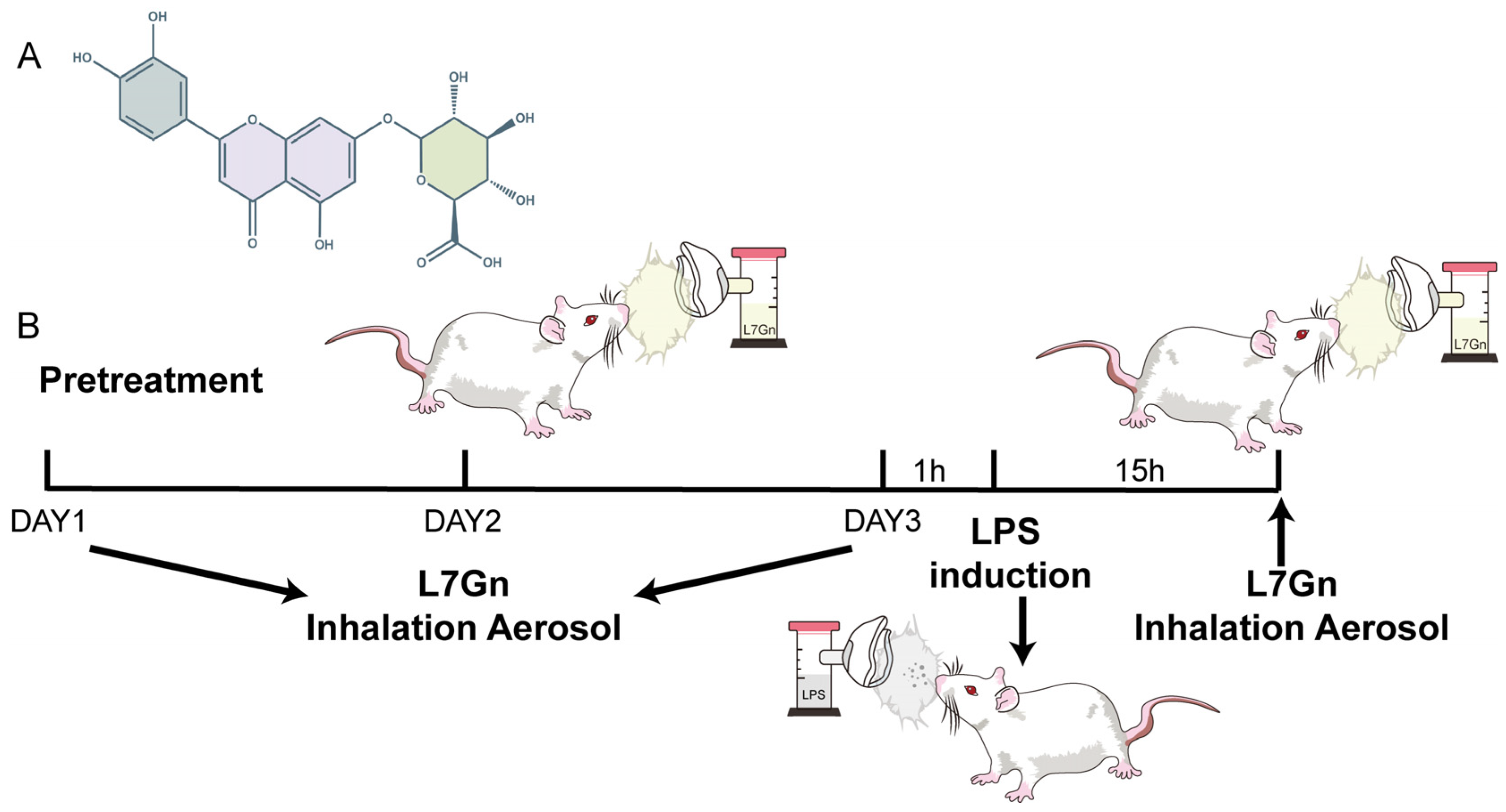 Pharmaceuticals 17 01731 g001 Pharmaceuticals 17 01731 g001