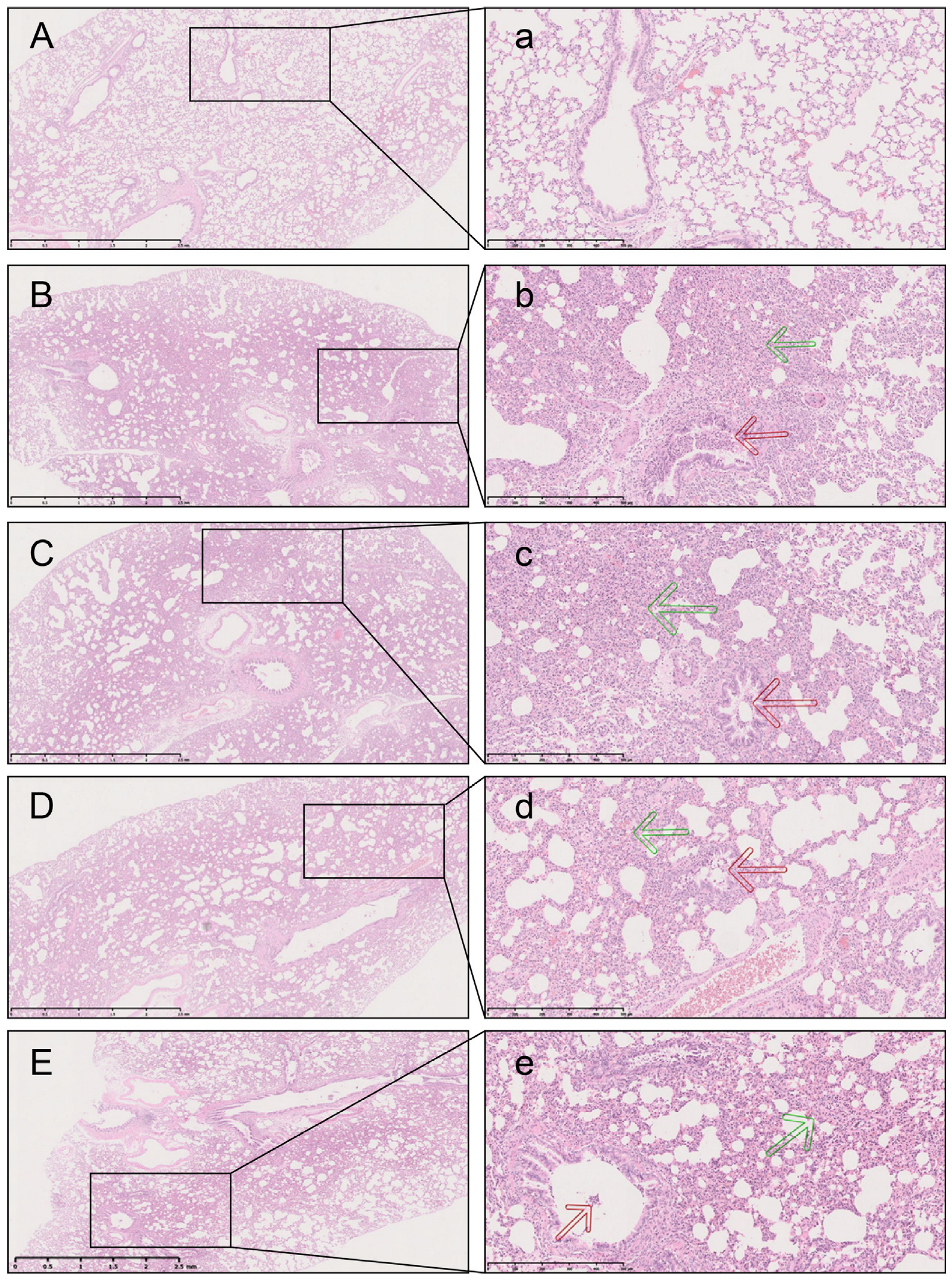 Pharmaceuticals 17 01731 g004 Pharmaceuticals 17 01731 g004