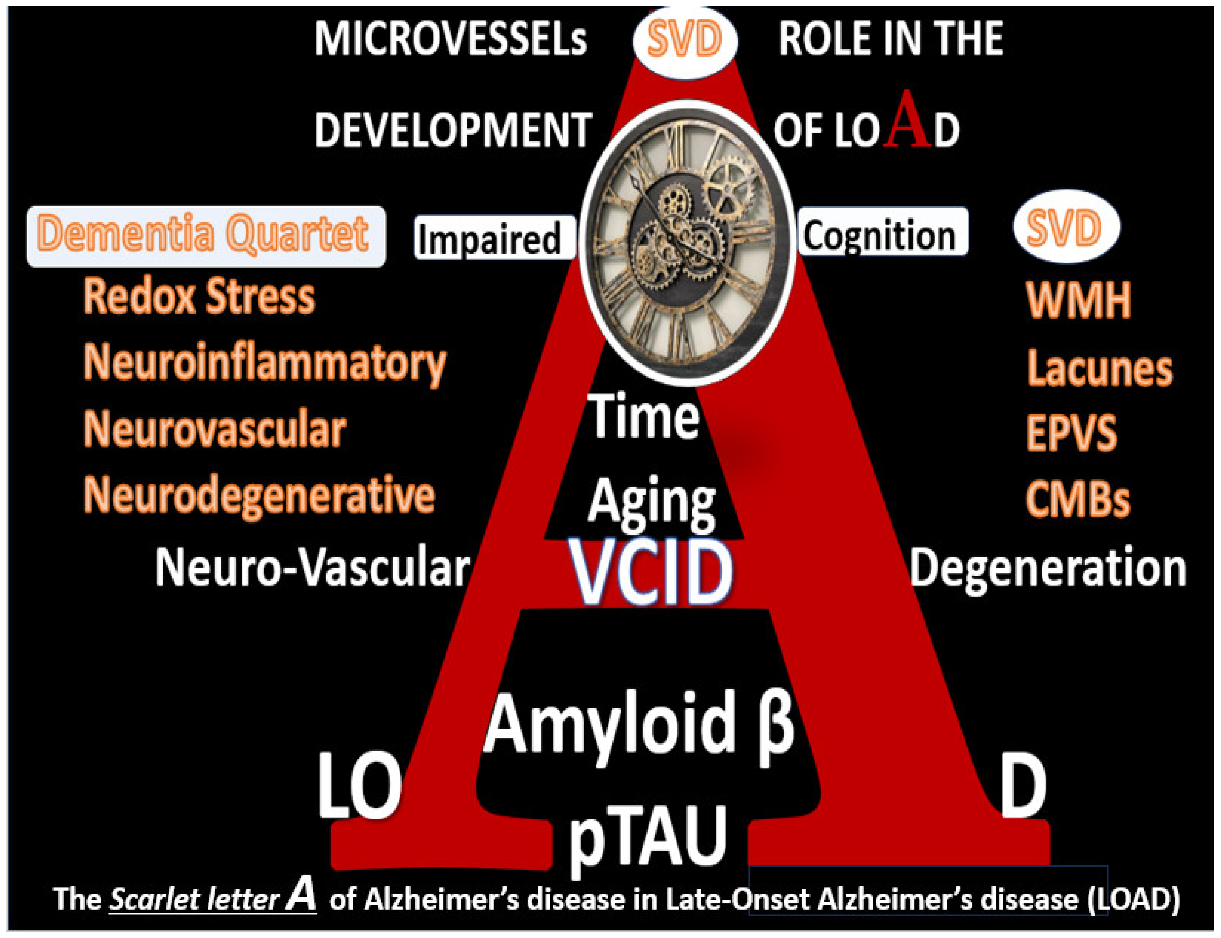 Pharmaceuticals 17 01741 g002