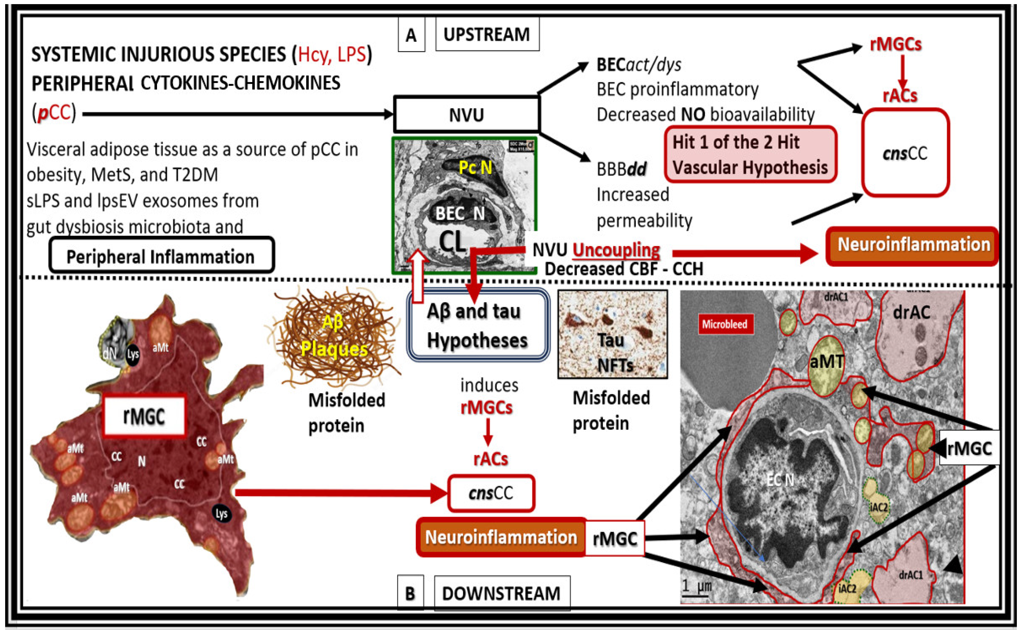 Pharmaceuticals 17 01741 g008