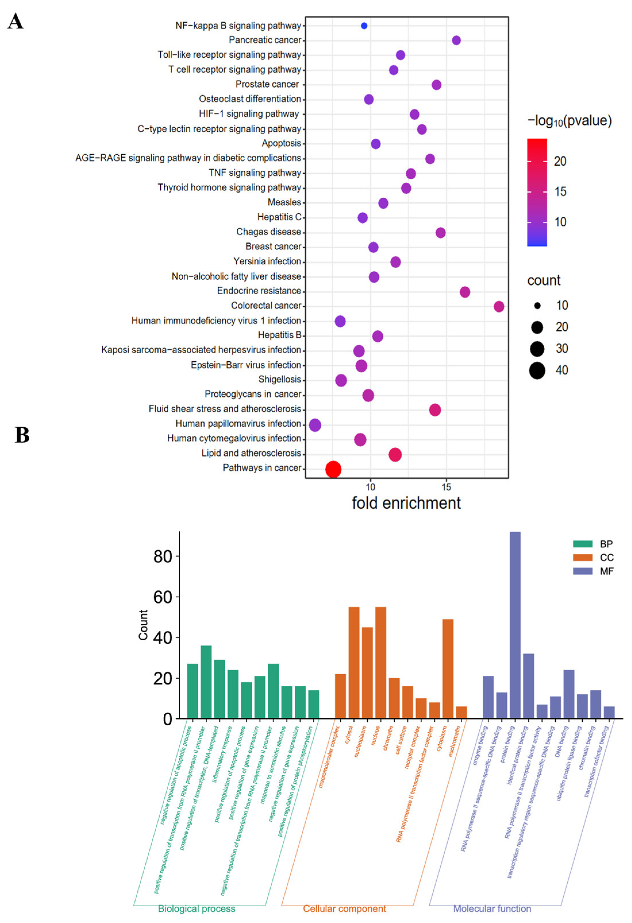 Pharmaceuticals 18 00012 g004