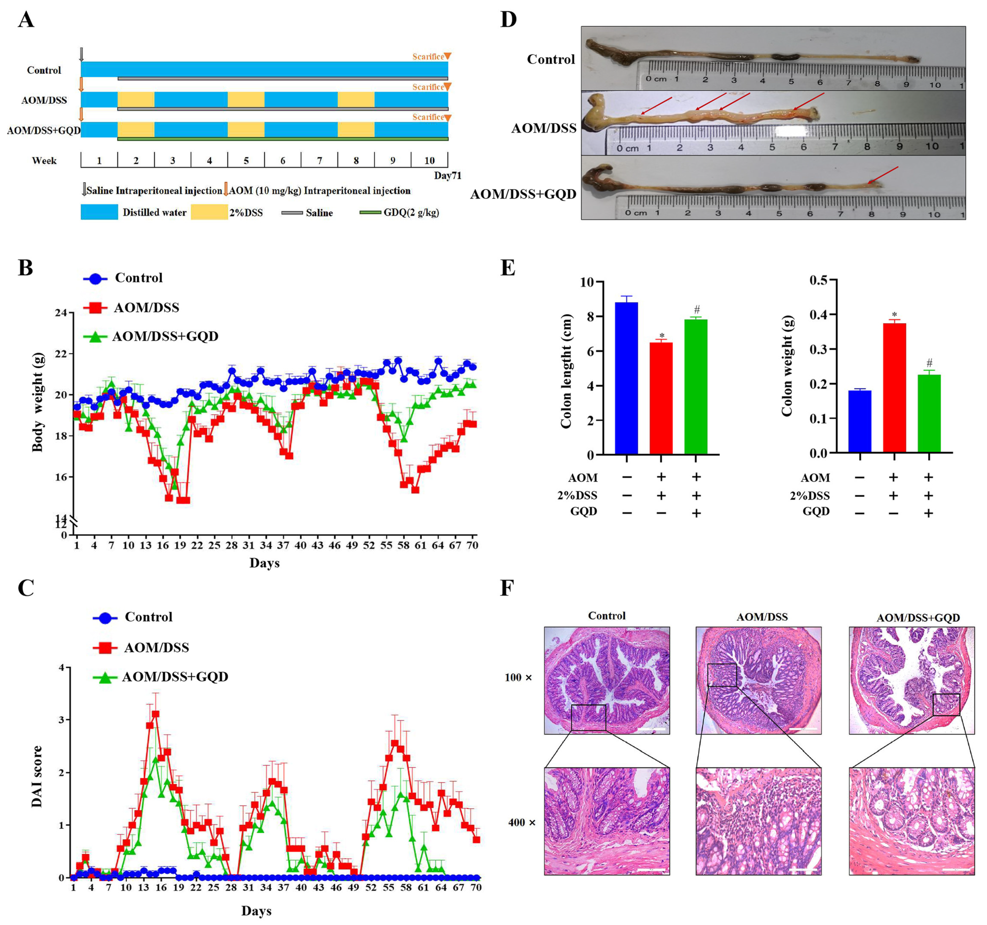 Pharmaceuticals 18 00012 g005