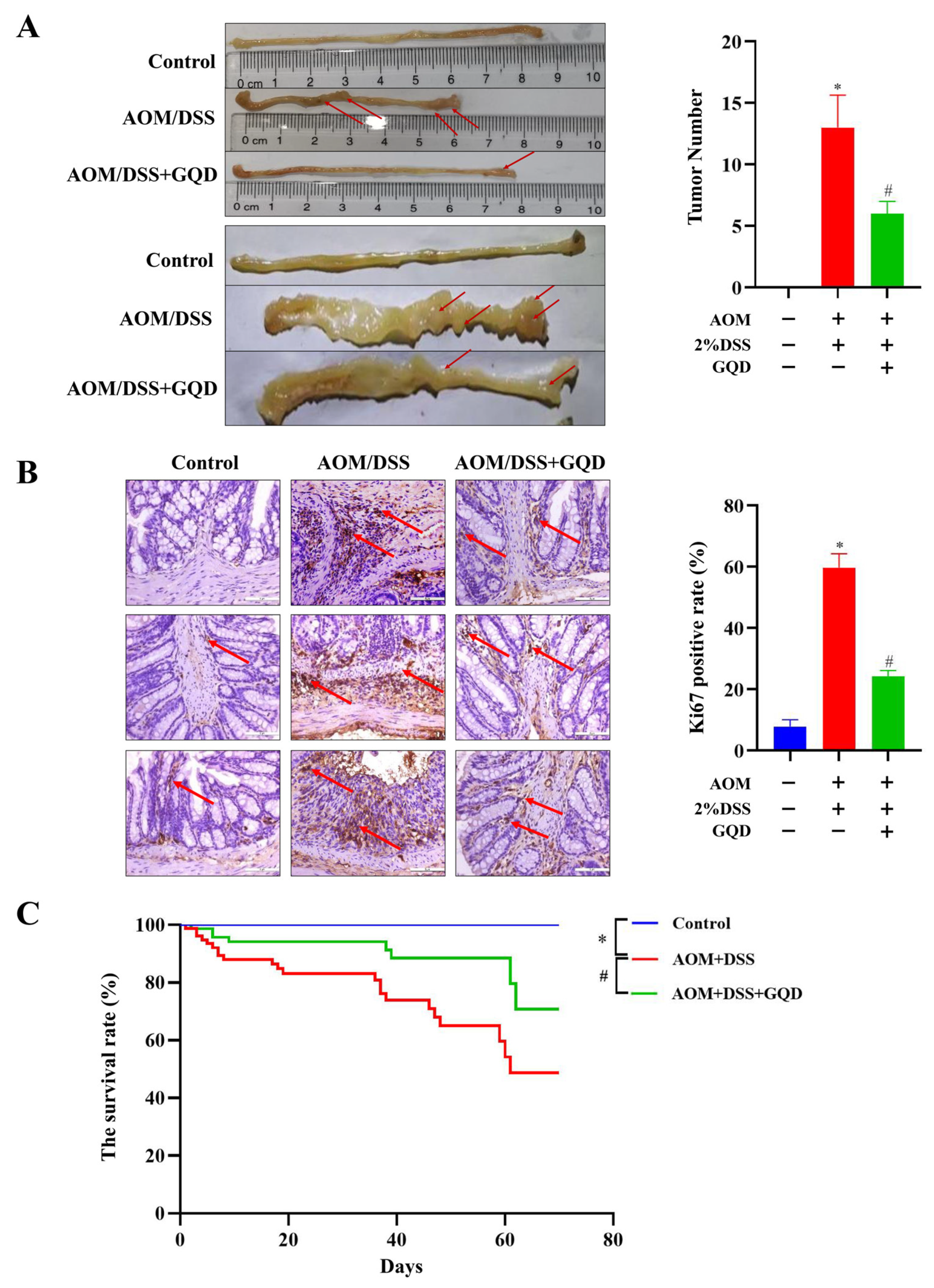 Pharmaceuticals 18 00012 g006