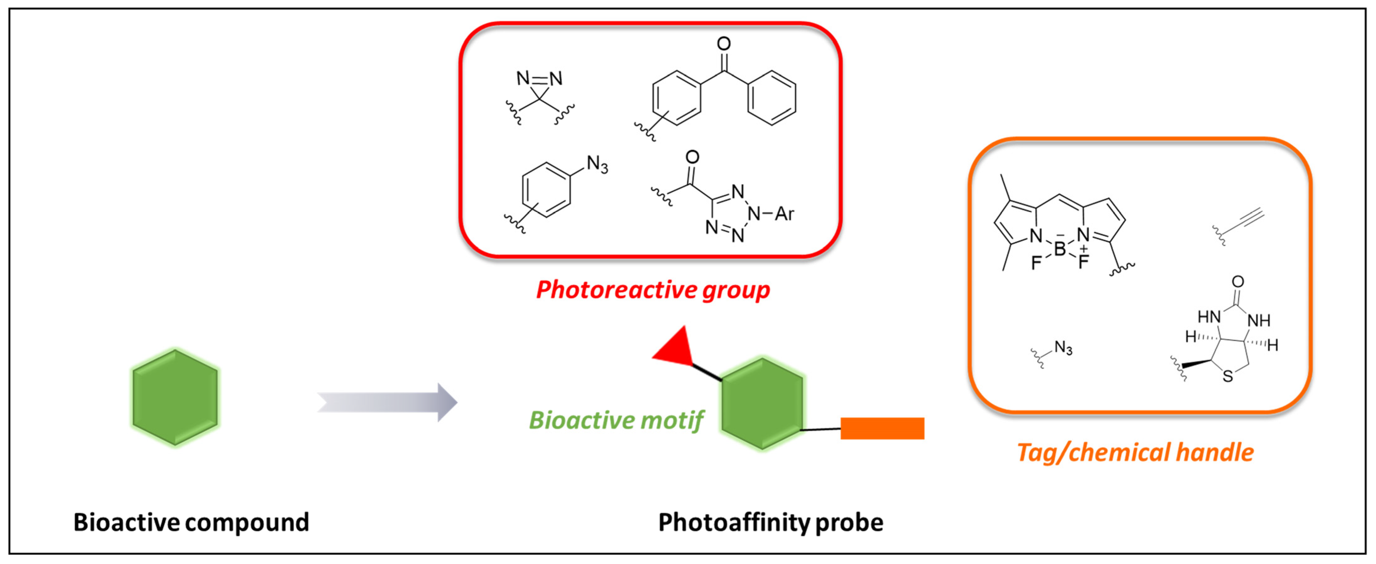Pharmaceuticals 18 00028 g001