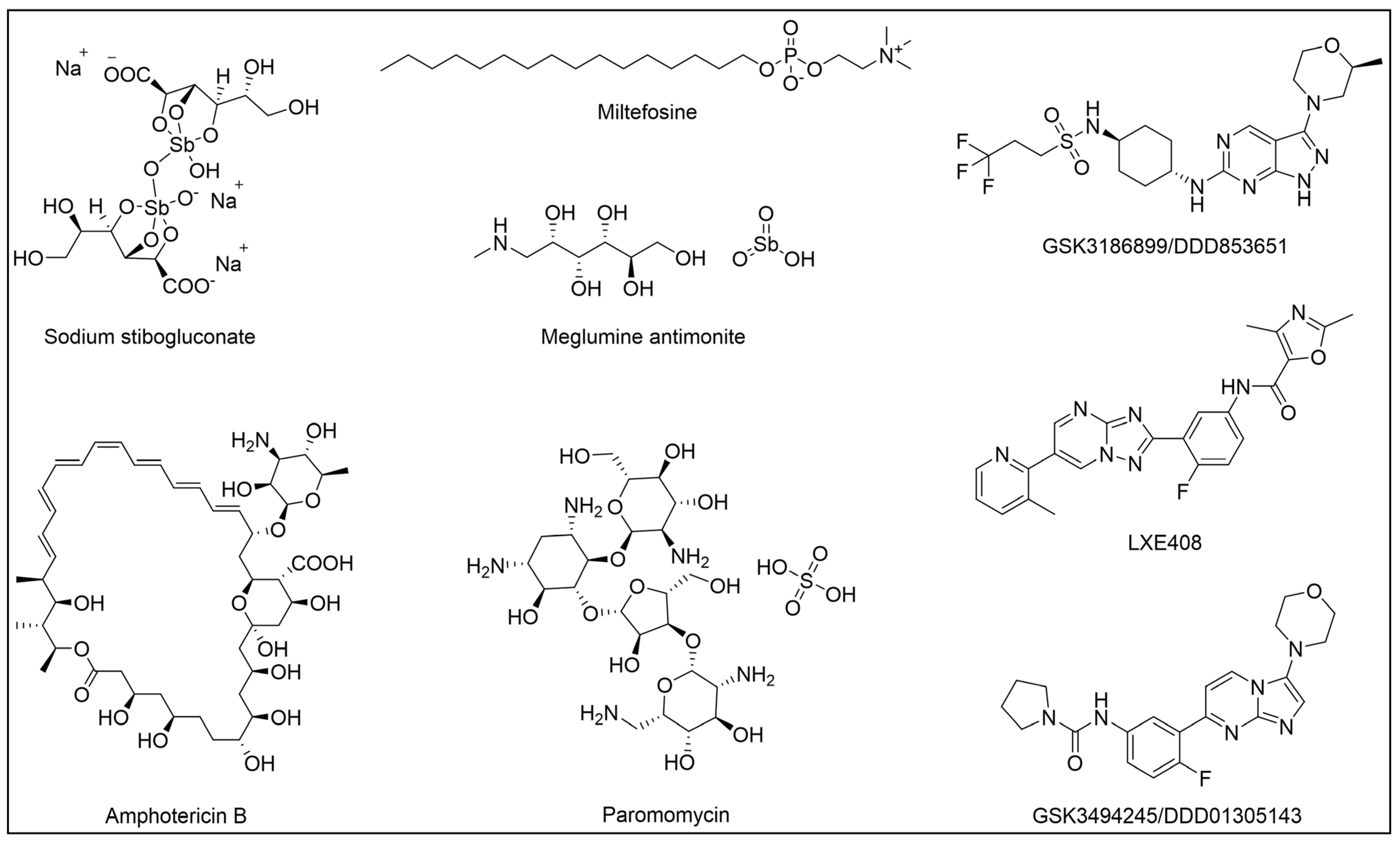 Pharmaceuticals 18 00028 g004