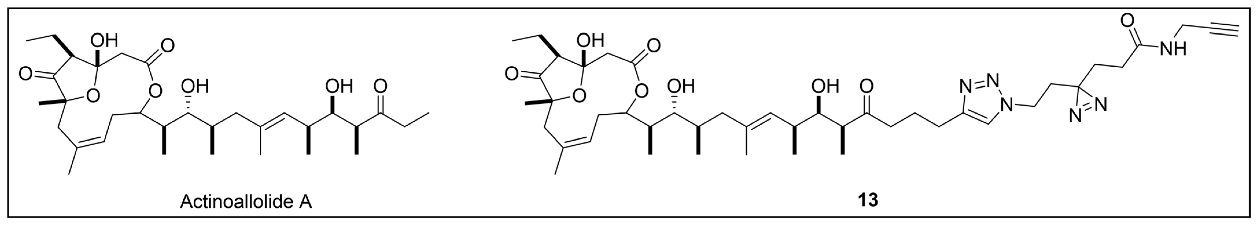 Pharmaceuticals 18 00028 g011