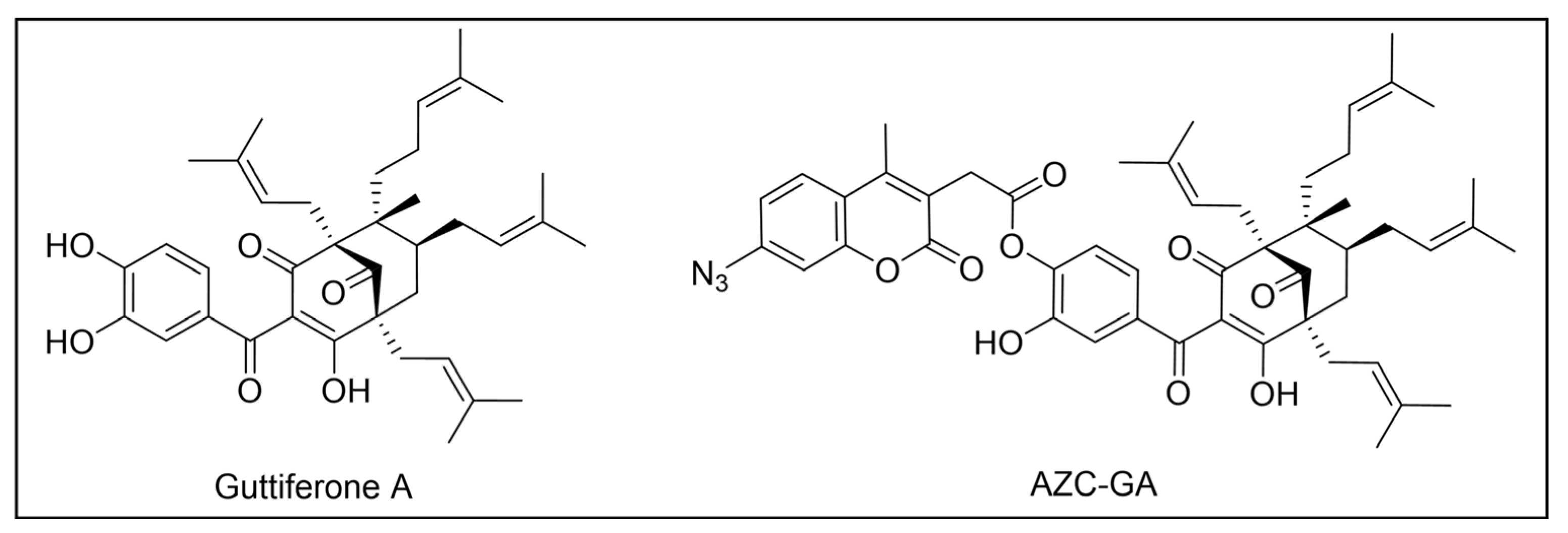 Pharmaceuticals 18 00028 g017
