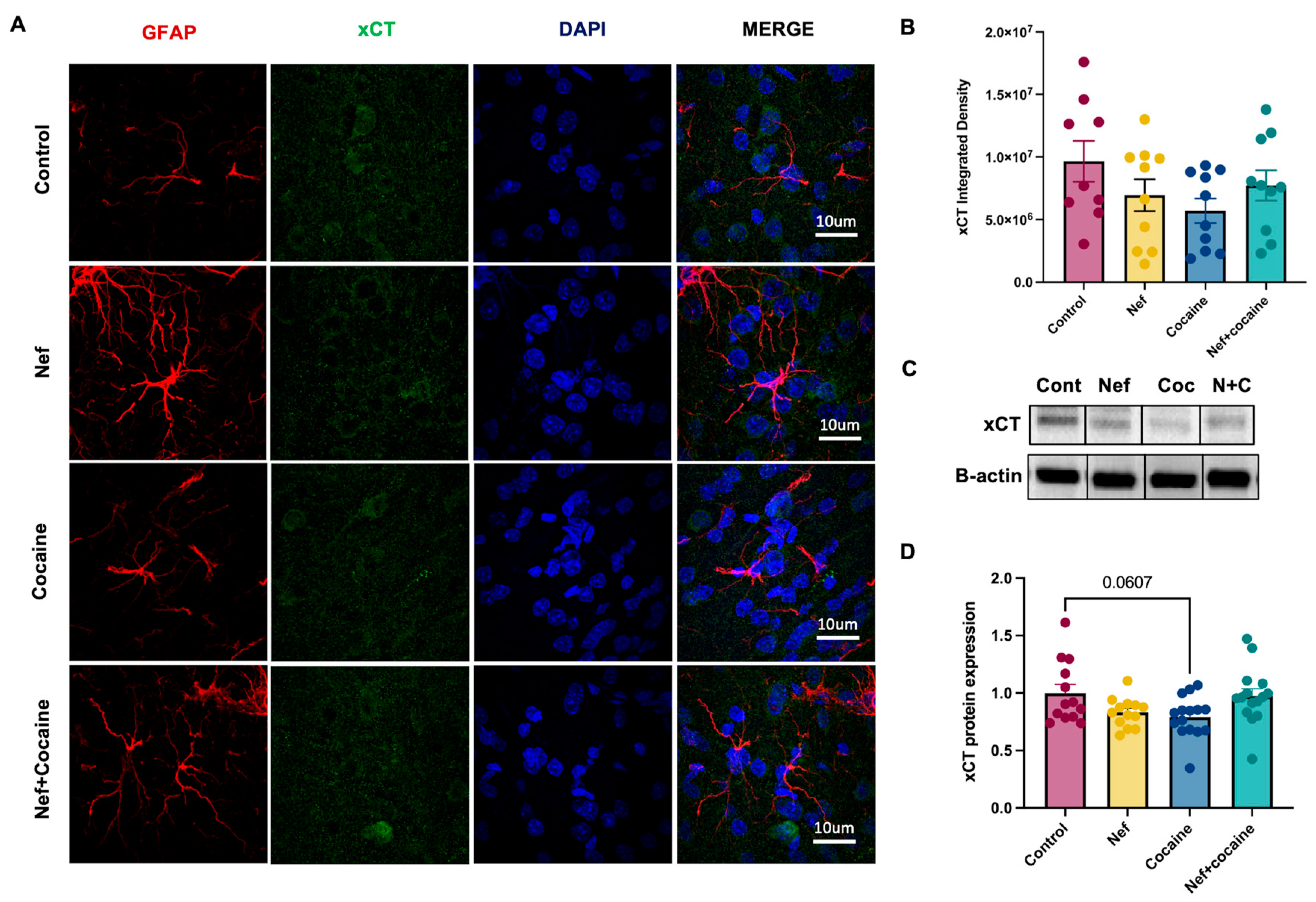 Pharmaceuticals 18 00040 g003 Pharmaceuticals 18 00040 g003