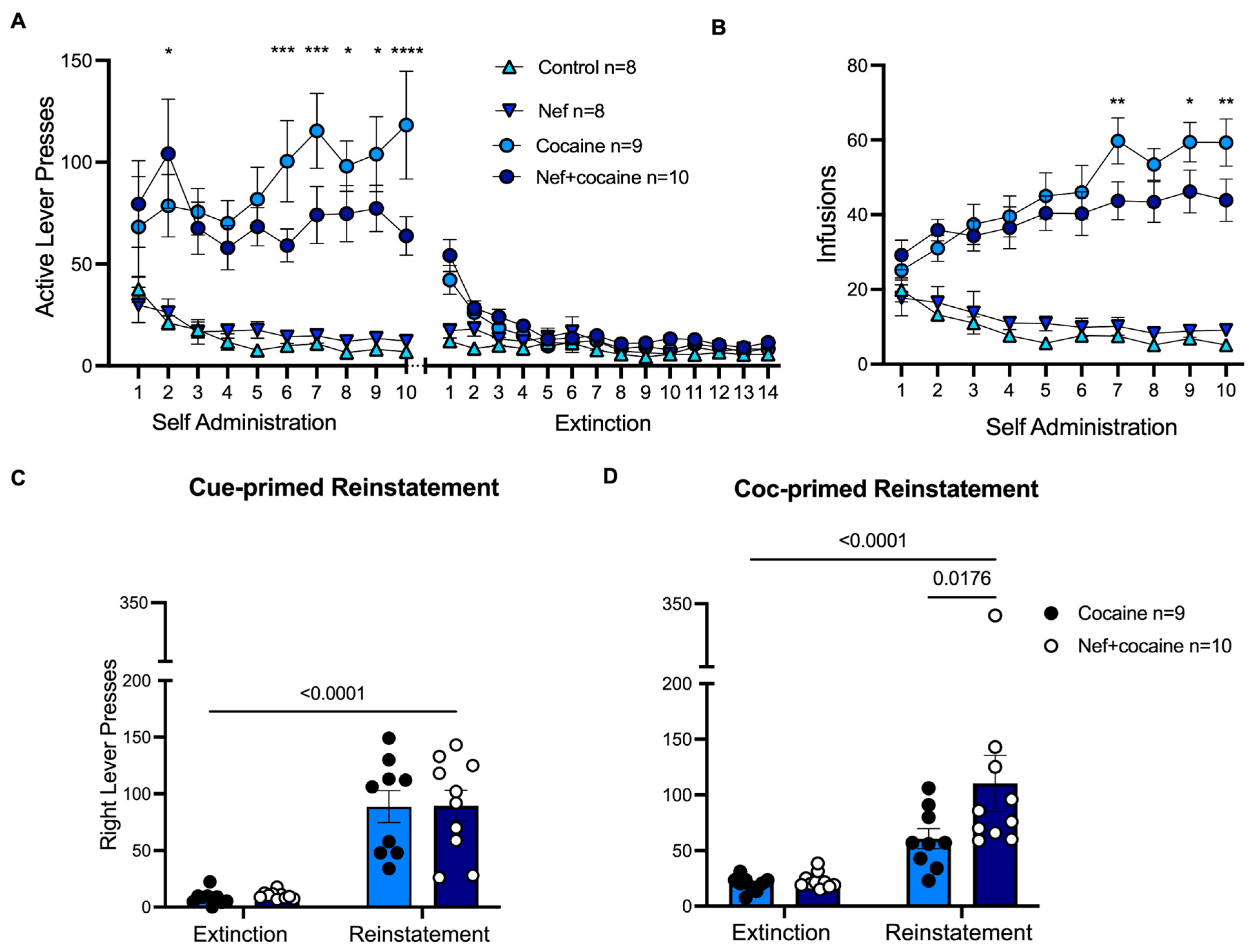 Pharmaceuticals 18 00040 g005 Pharmaceuticals 18 00040 g005