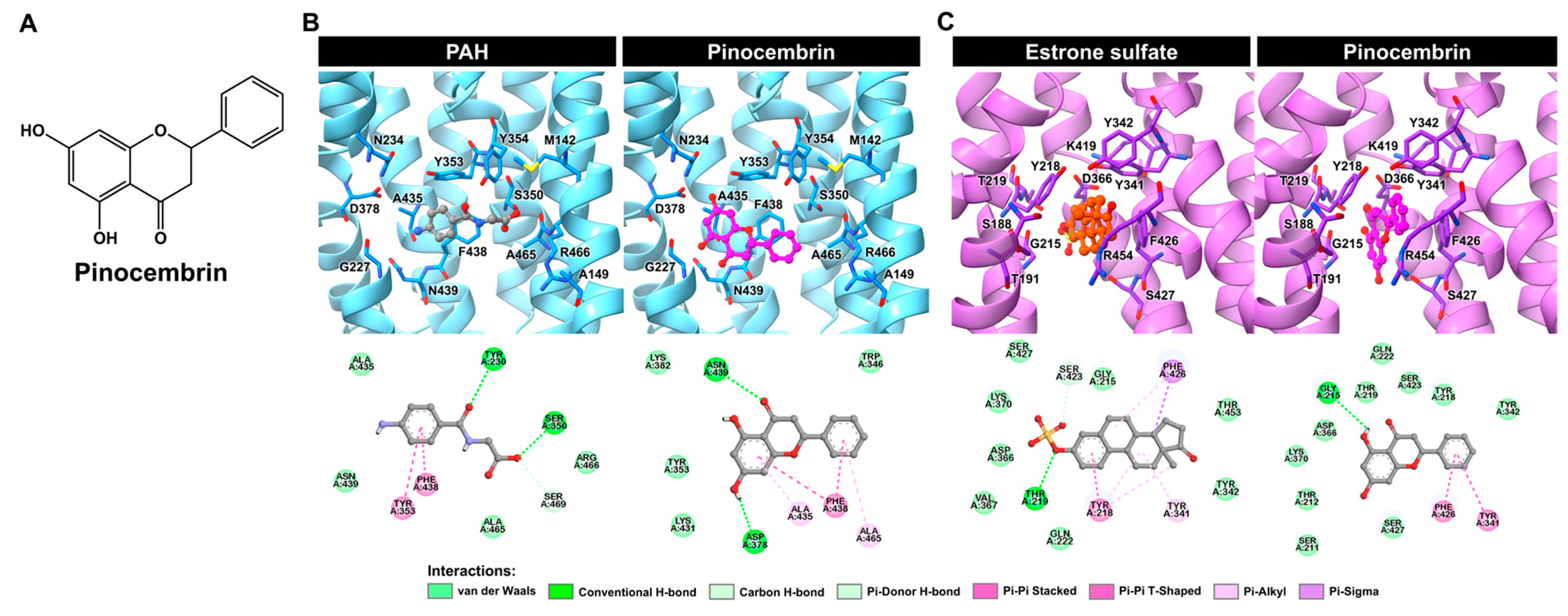 Pharmaceuticals 18 00042 g004