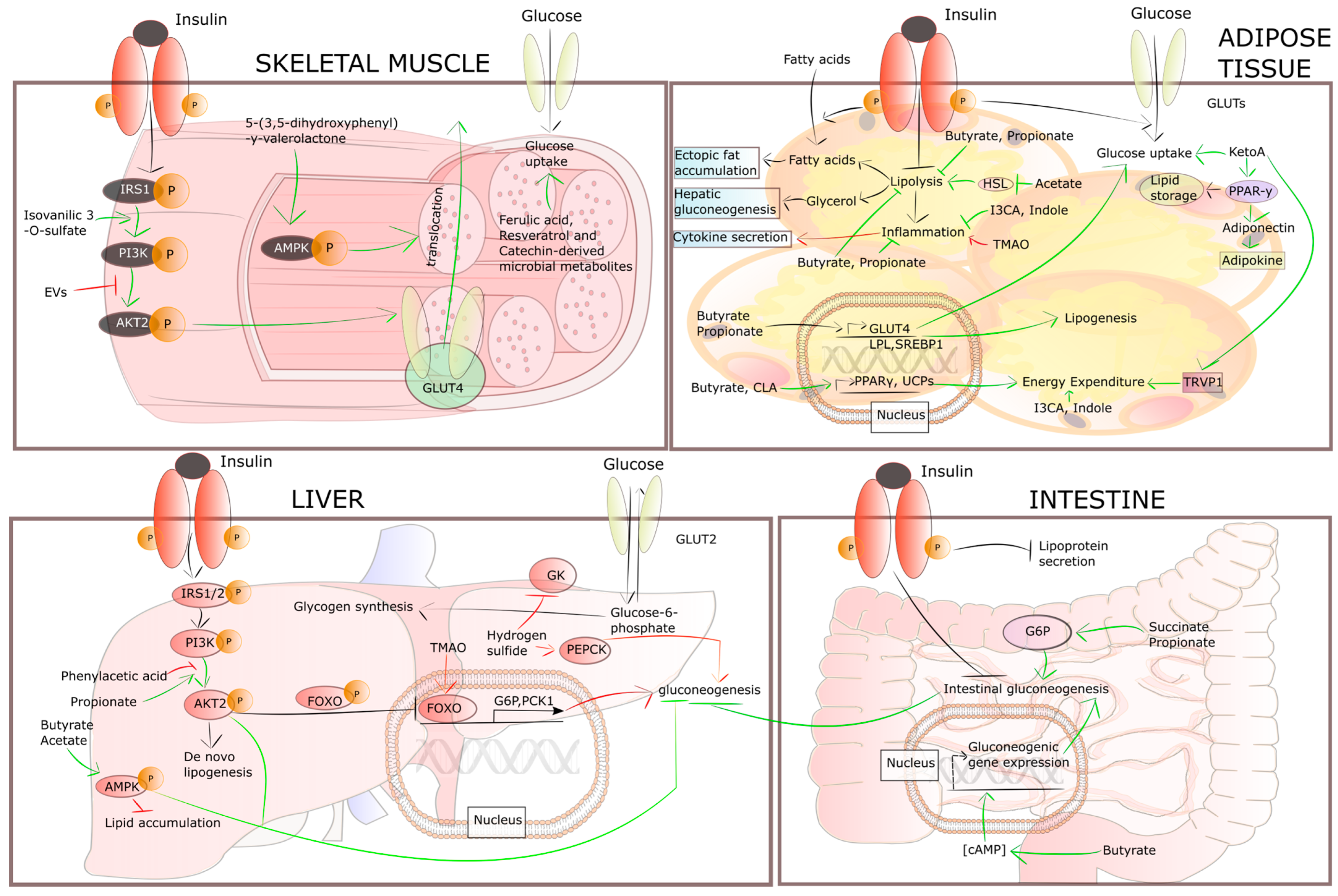 Pharmaceuticals 18 00055 g002