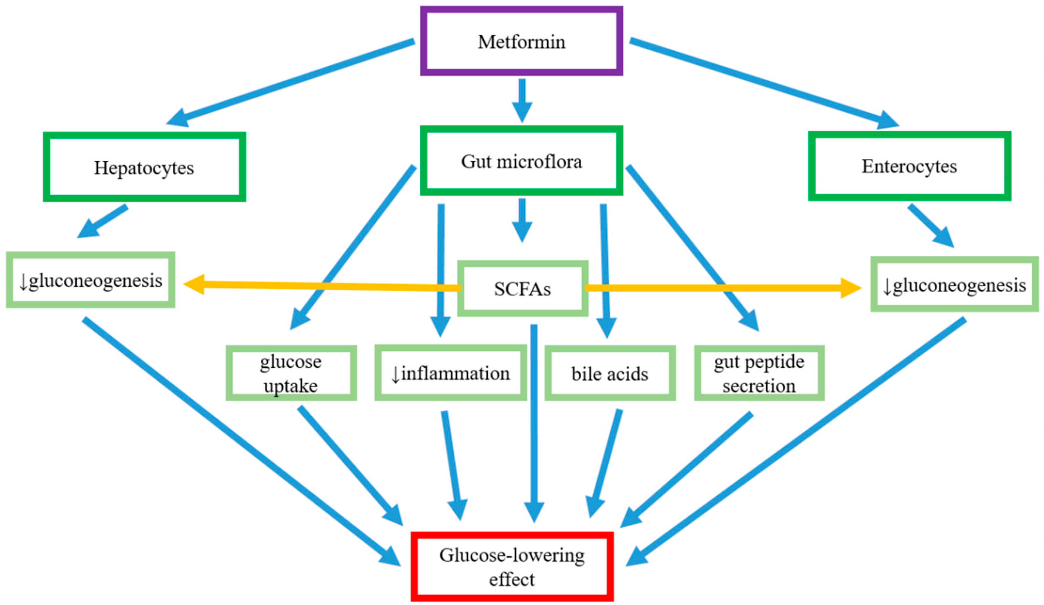 Pharmaceuticals 18 00055 g003