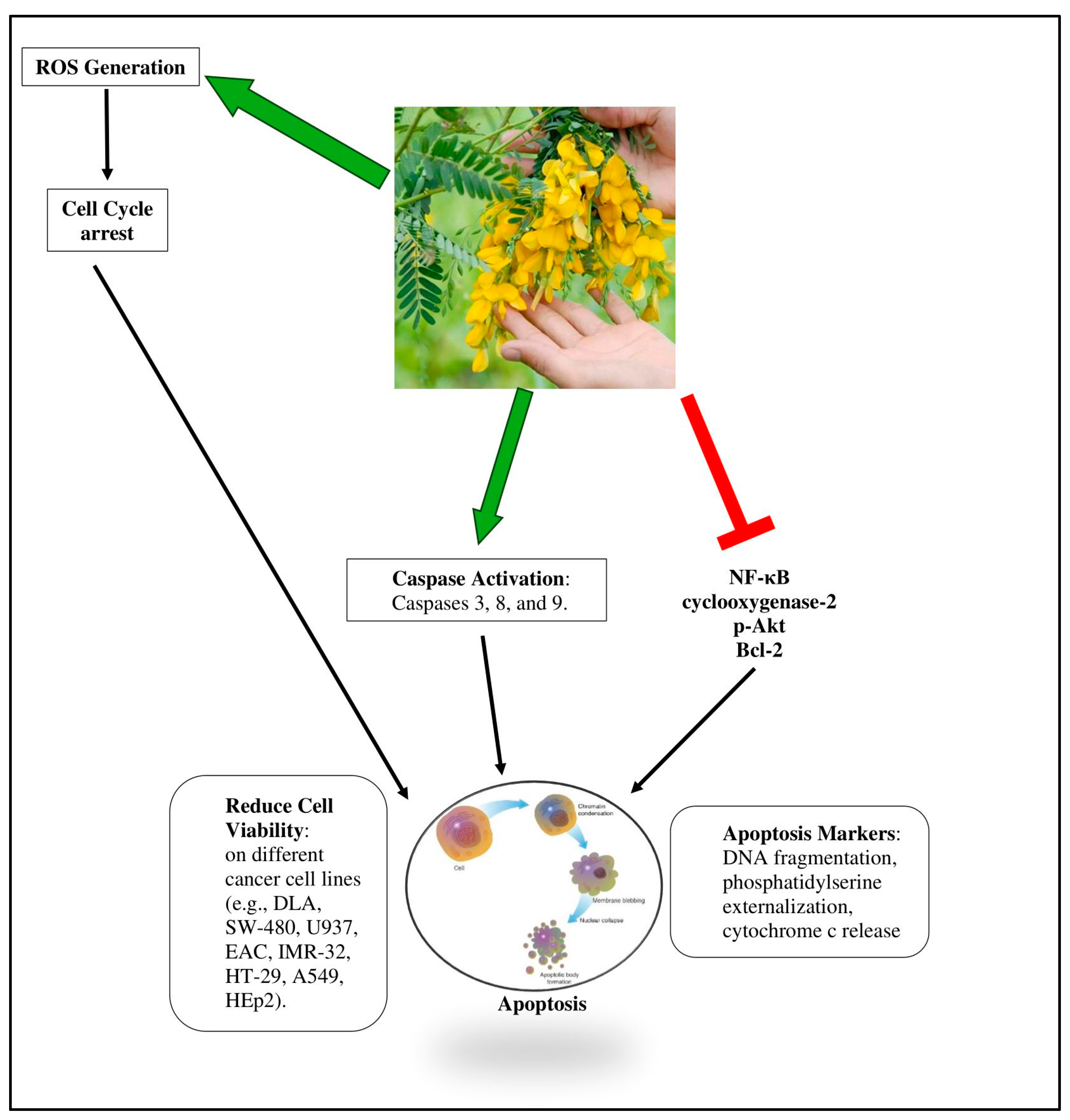 Pharmaceuticals 18 00064 g008