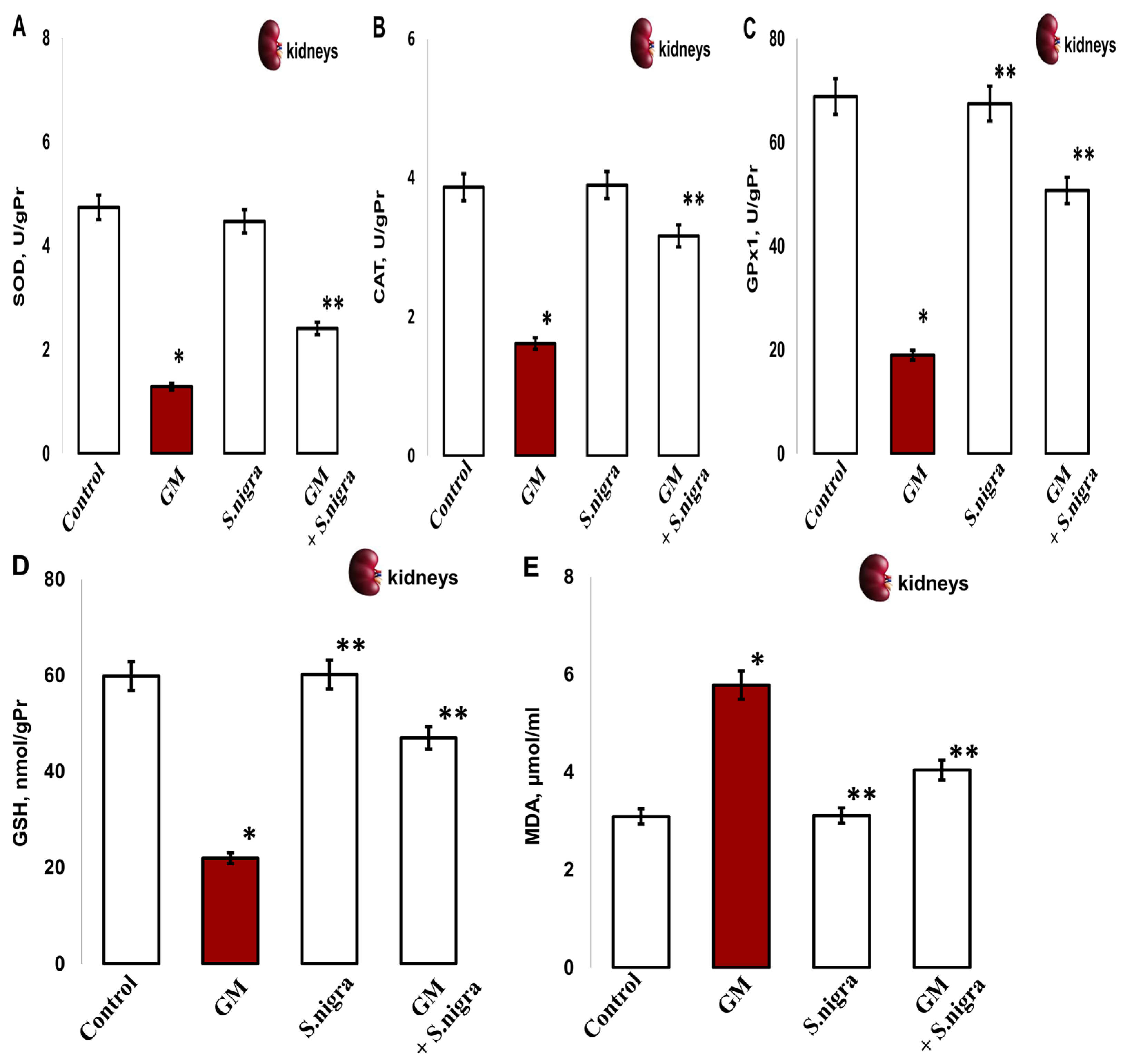Pharmaceuticals 18 00085 g008