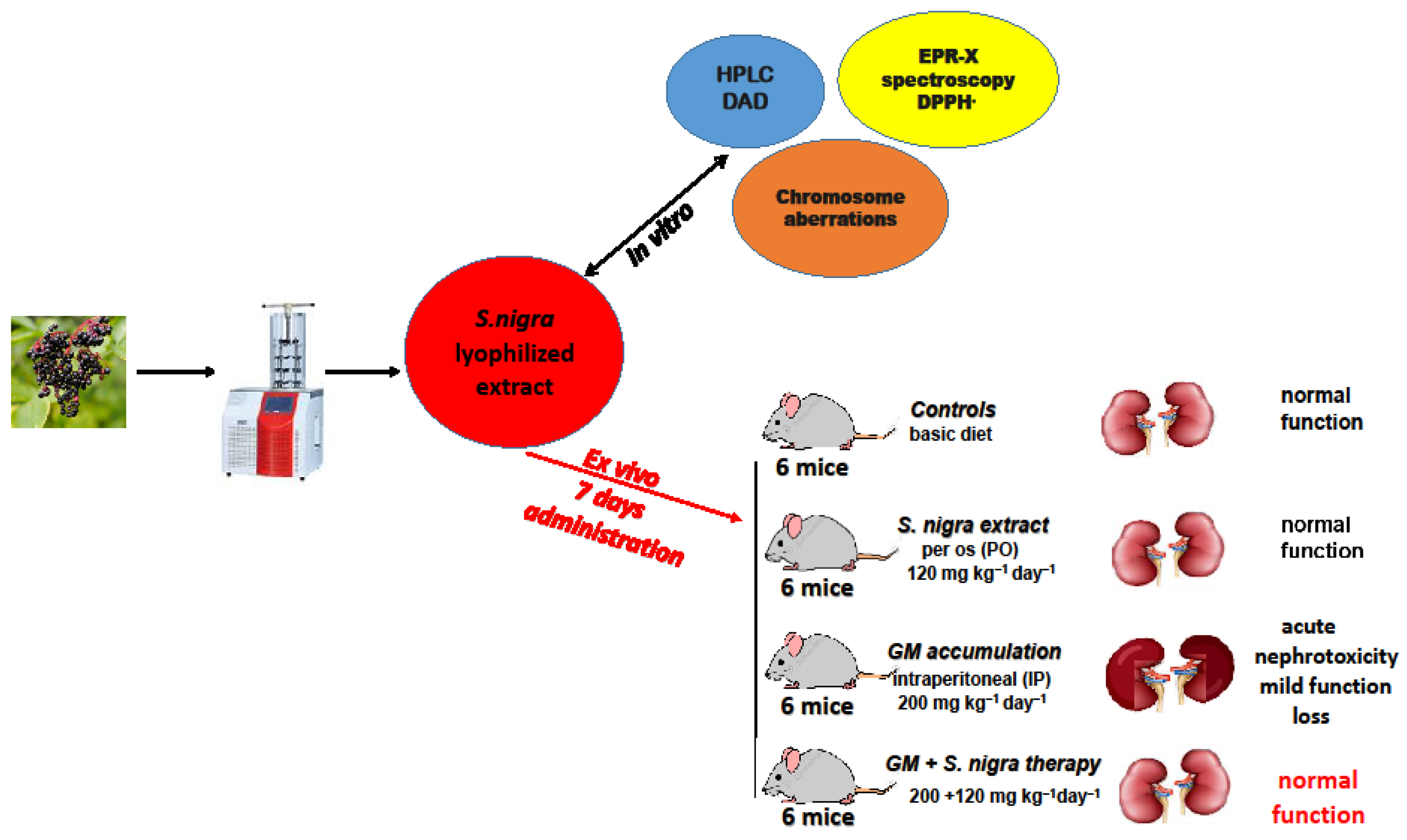 Pharmaceuticals 18 00085 sch002