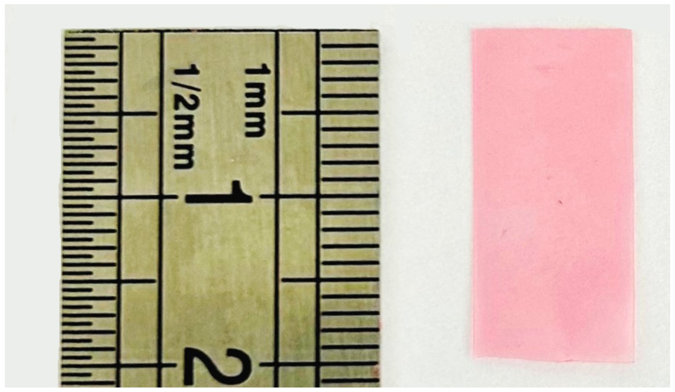 Pharmaceuticals 18 00086 g001