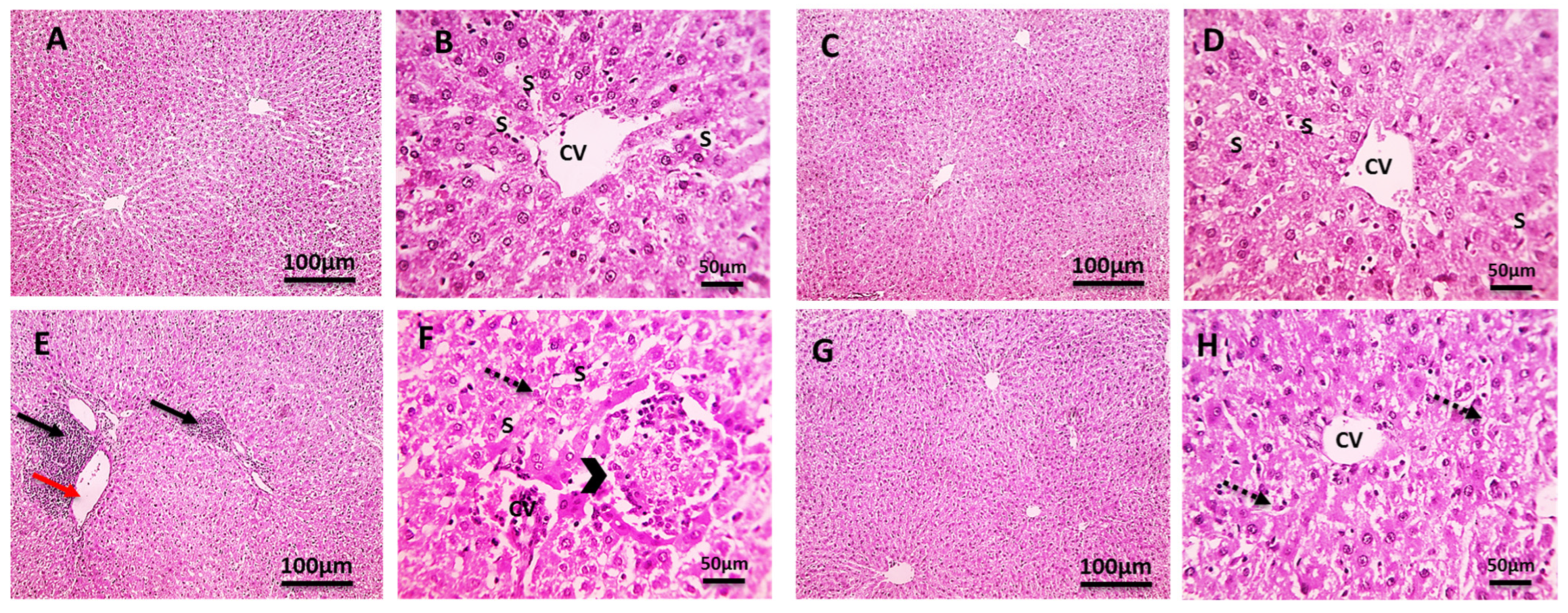 Pharmaceuticals 18 00094 g003
