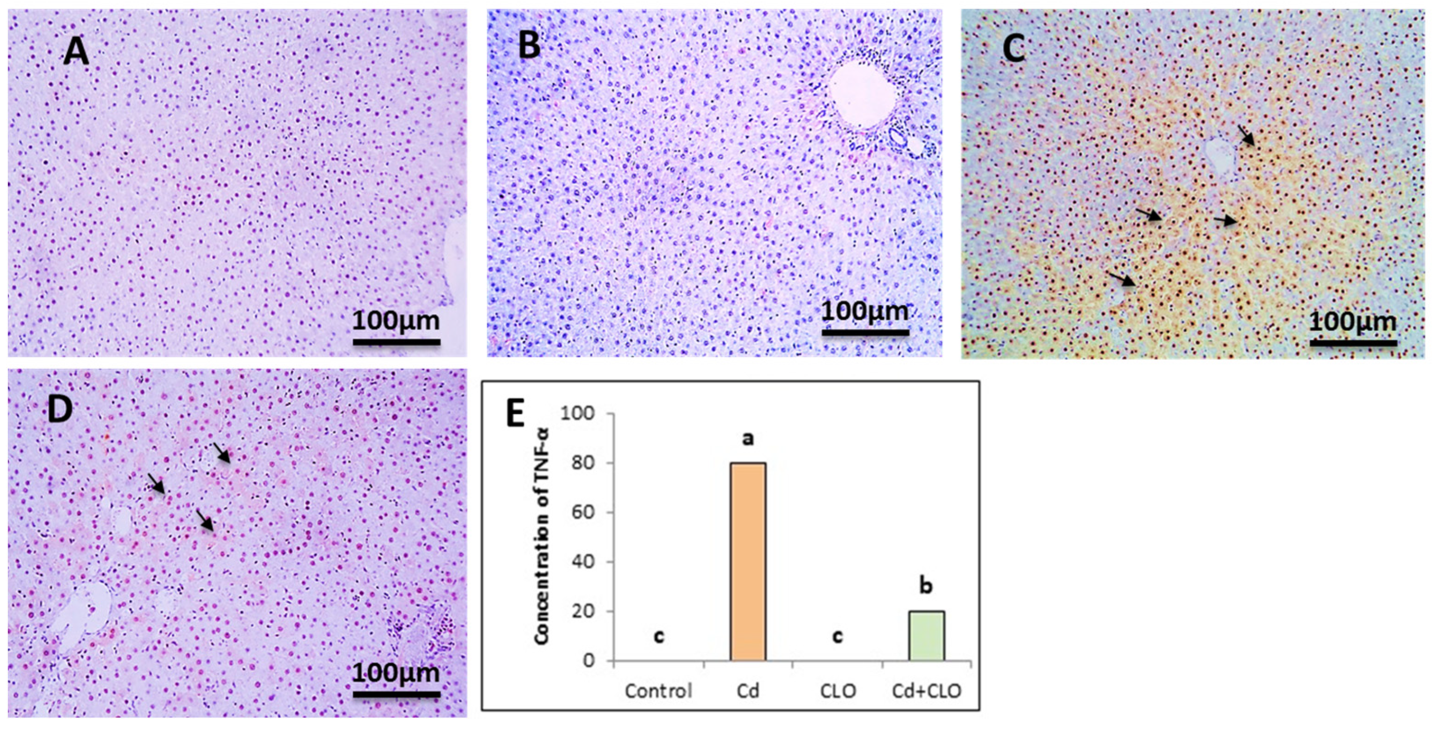 Pharmaceuticals 18 00094 g005