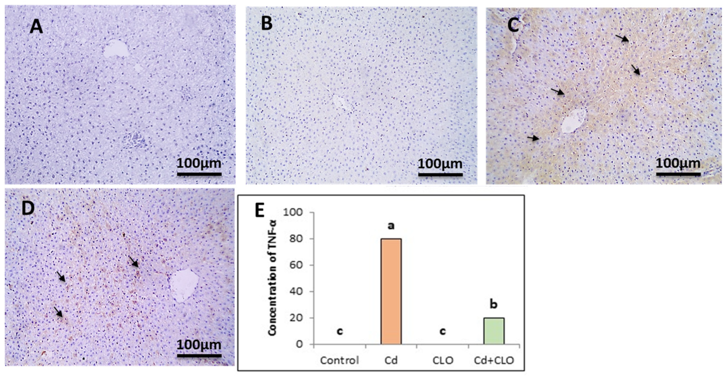 Pharmaceuticals 18 00094 g006