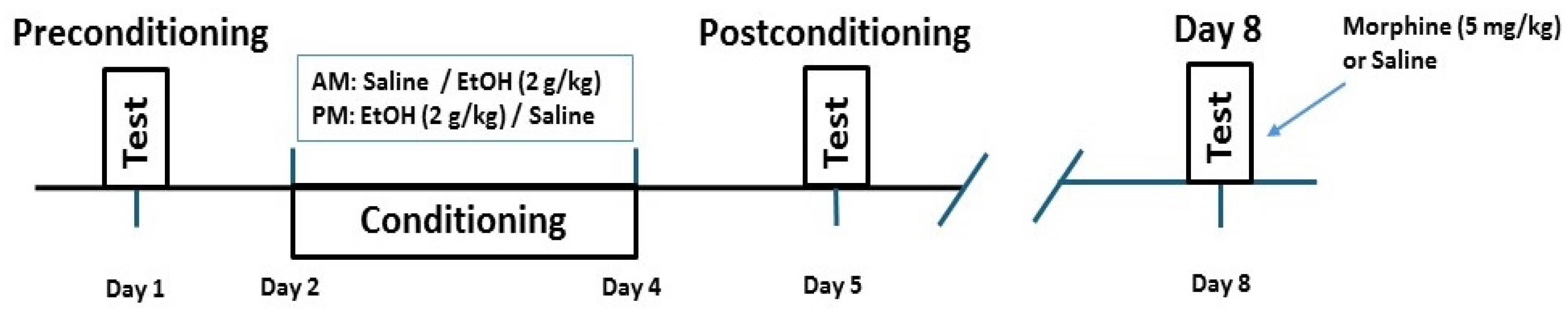 Pharmaceuticals 18 00107 g006