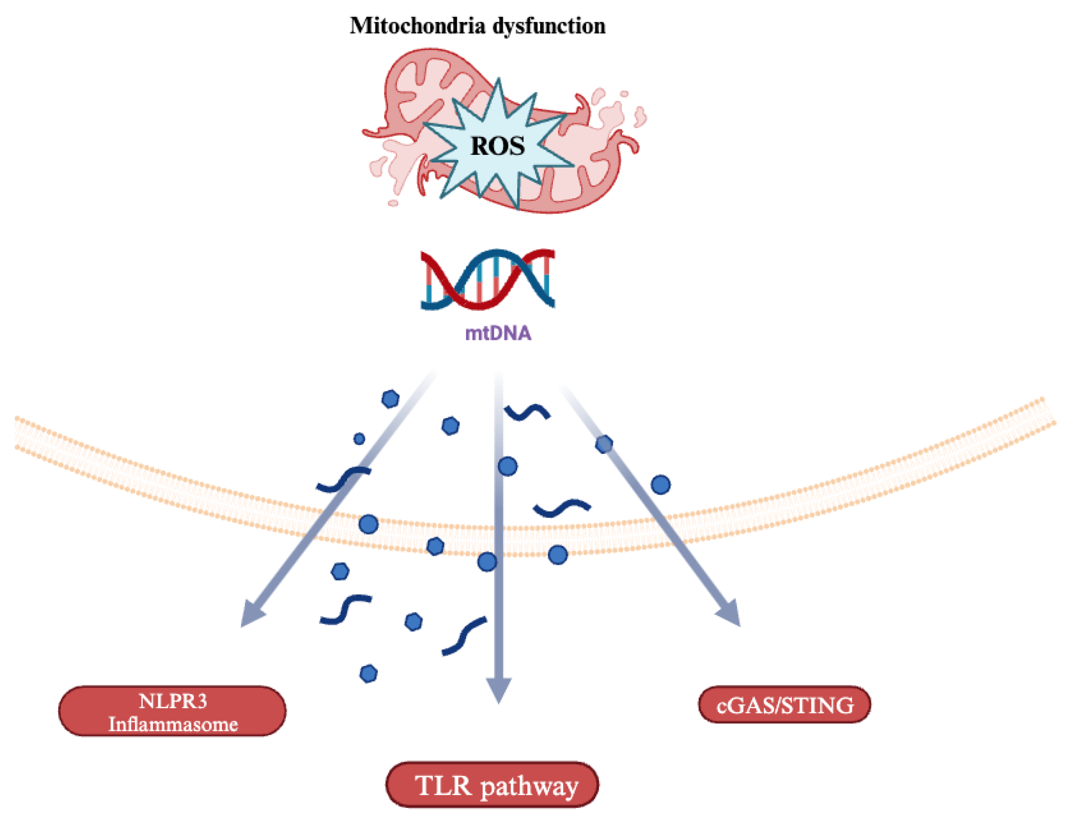 Pharmaceuticals 18 00112 g001