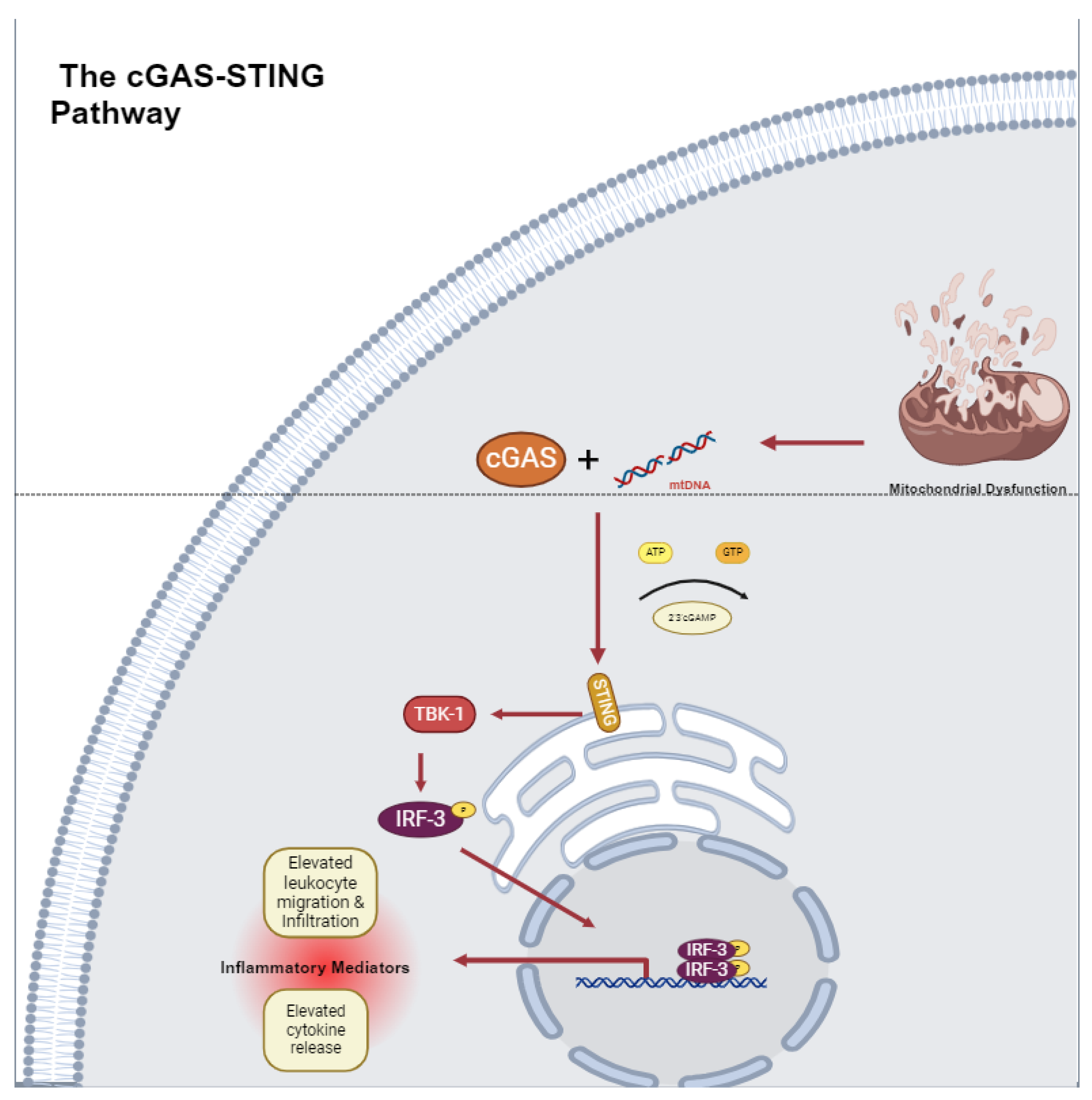 Pharmaceuticals 18 00112 g002