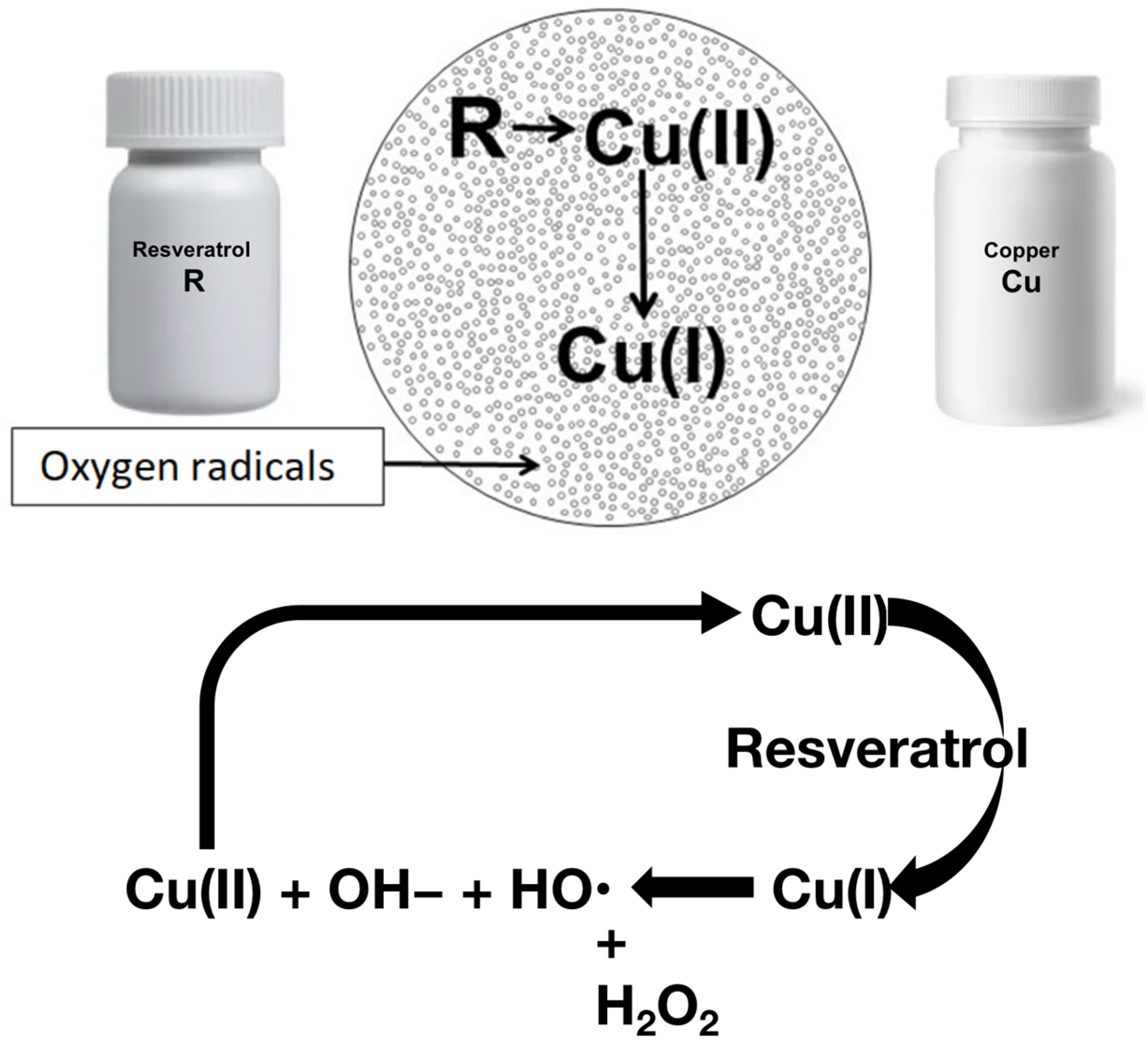 Pharmaceuticals 18 00132 g001