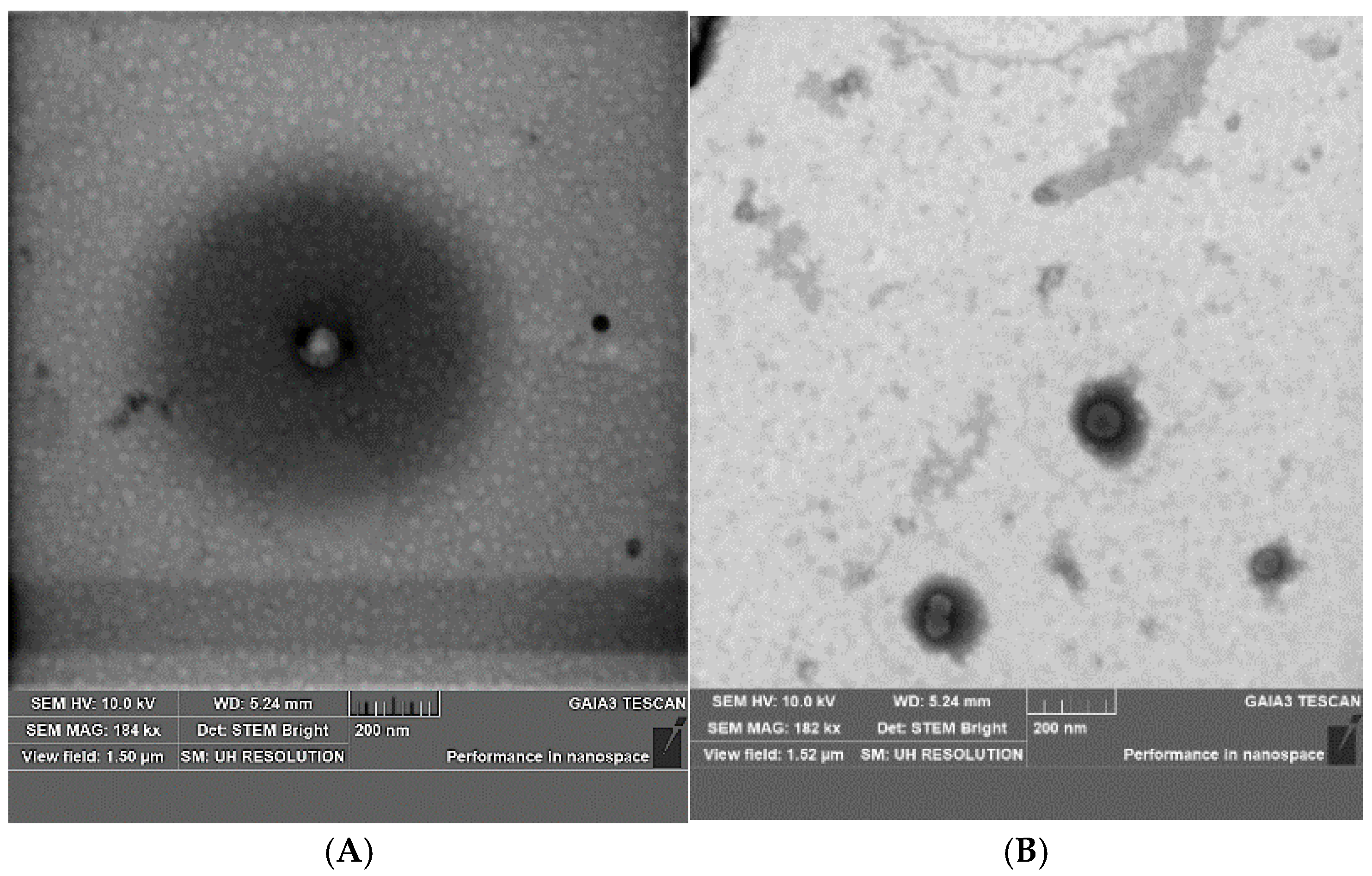 Pharmaceuticals 18 00160 g002