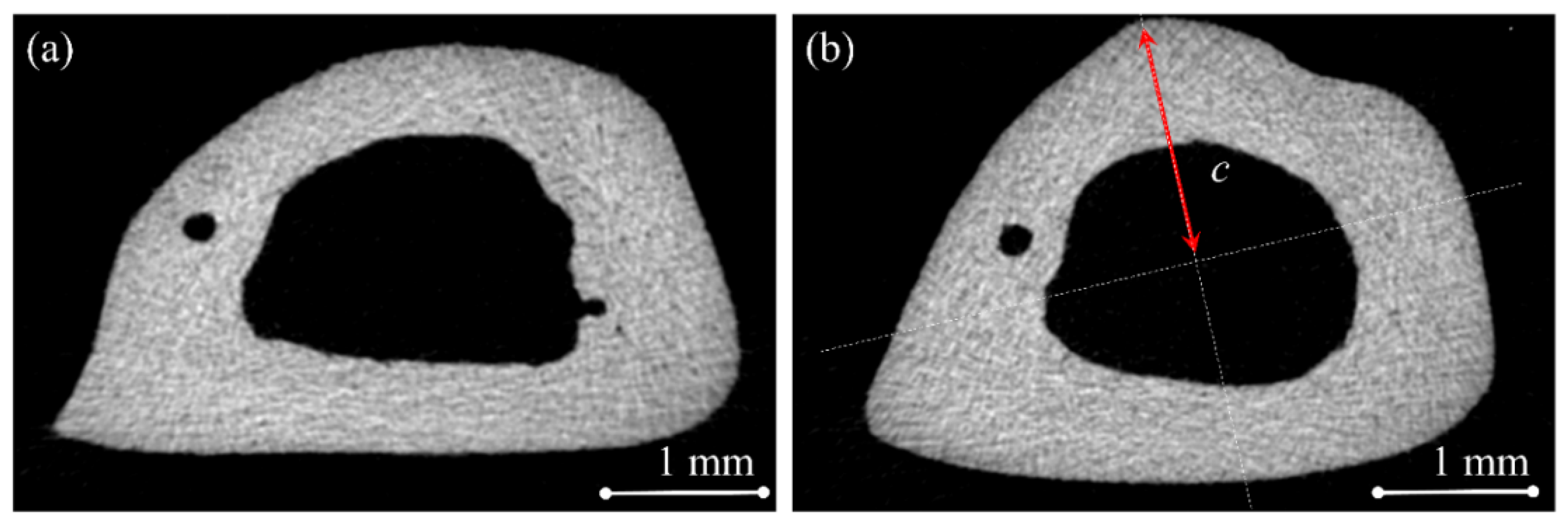 Pharmaceuticals 18 00164 g005 Pharmaceuticals 18 00164 g005