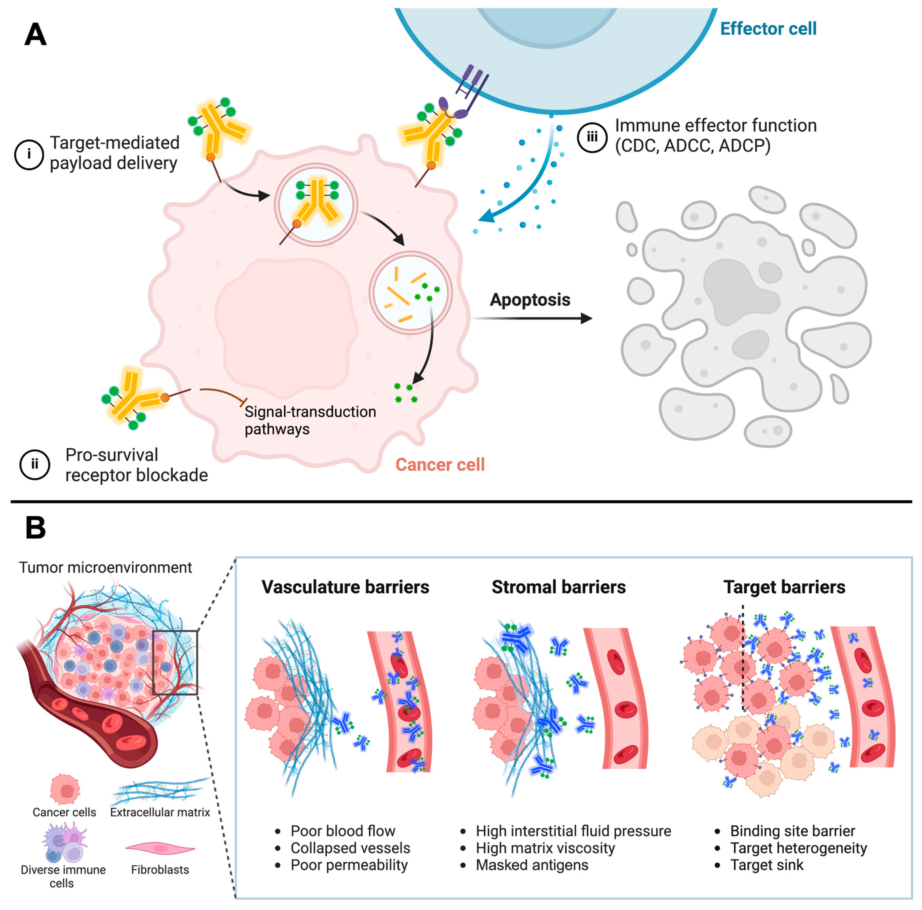 Pharmaceuticals 18 00180 g001
