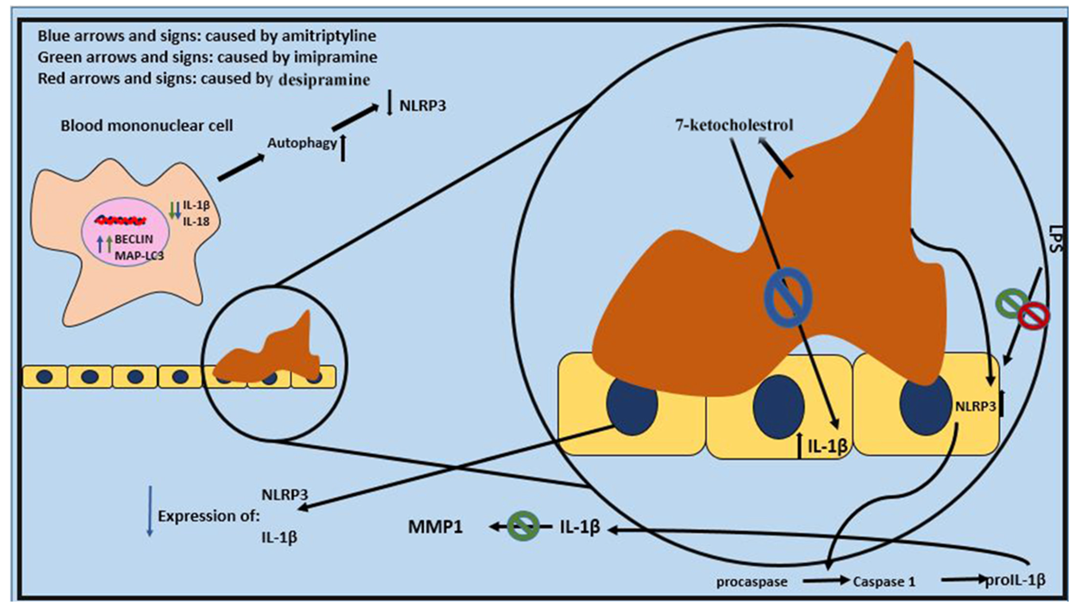 Pharmaceuticals 18 00197 g002 Pharmaceuticals 18 00197 g002