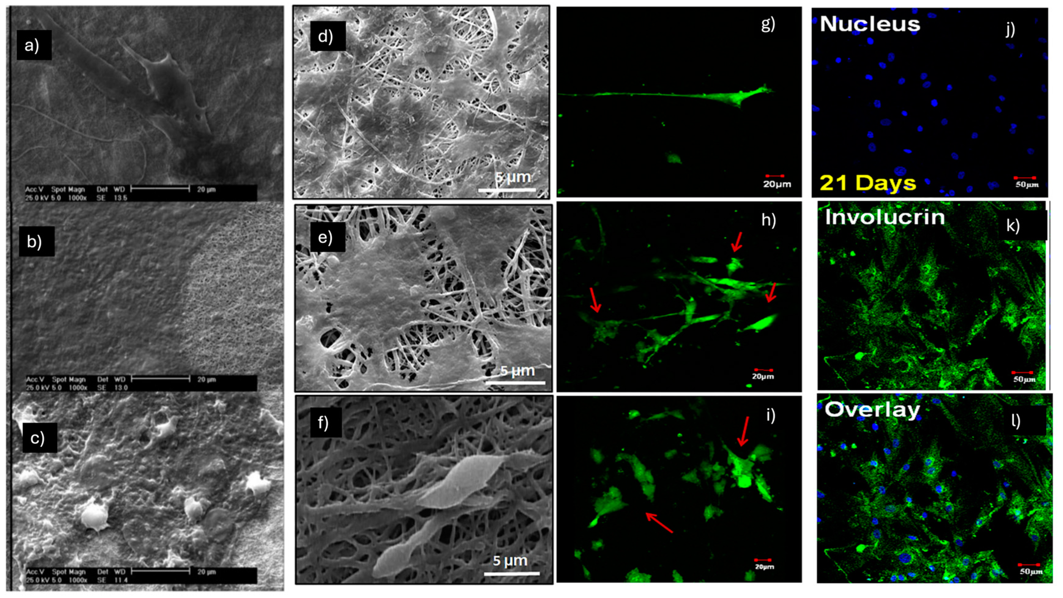 Pharmaceuticals 18 00239 g003