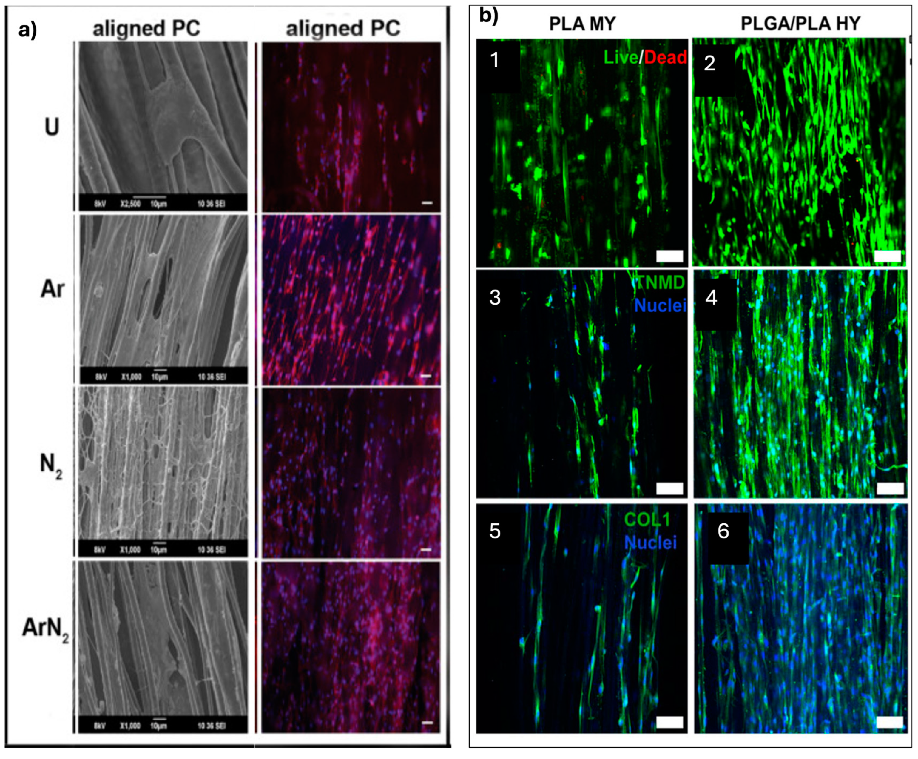 Pharmaceuticals 18 00239 g005